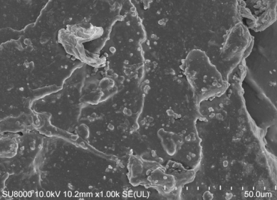 Polymers 14 00418 i006