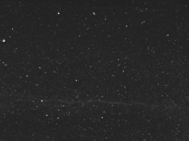 Polymers 14 00418 i008