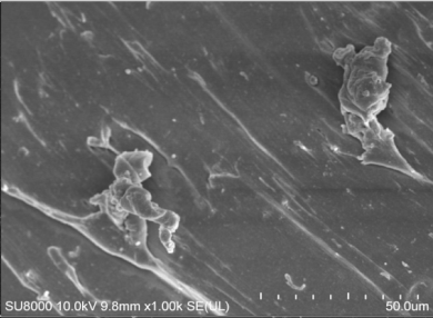 Polymers 14 00418 i009