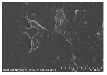 Polymers 14 00418 i012