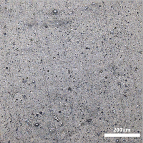 Polymers 14 00418 i013