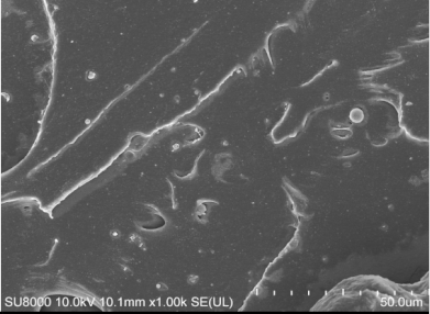 Polymers 14 00418 i015