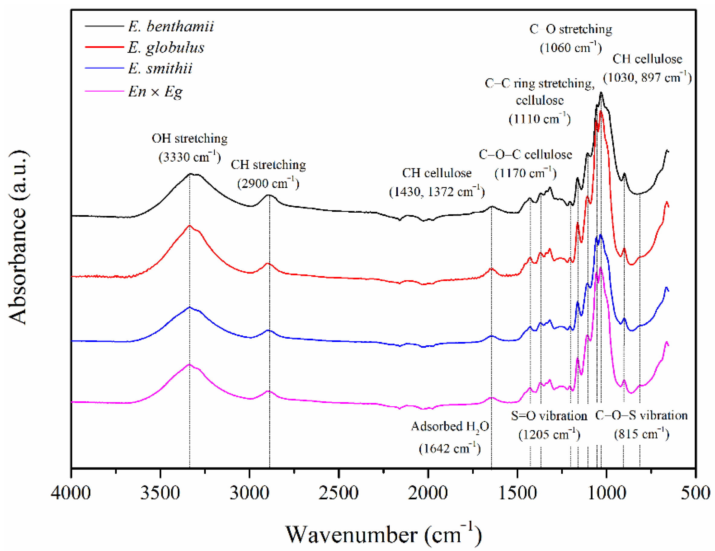 Polymers 14 00423 g002