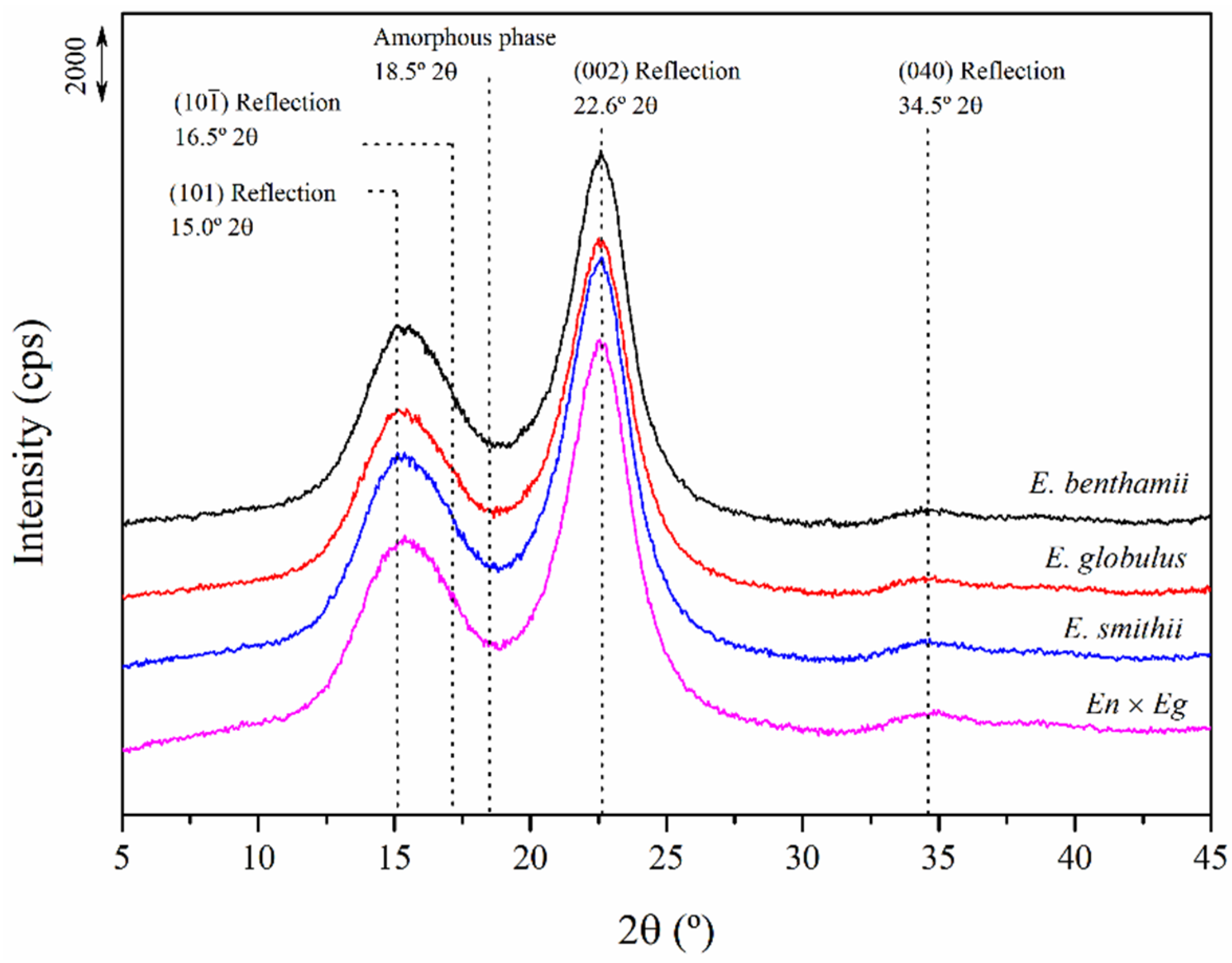 Polymers 14 00423 g003