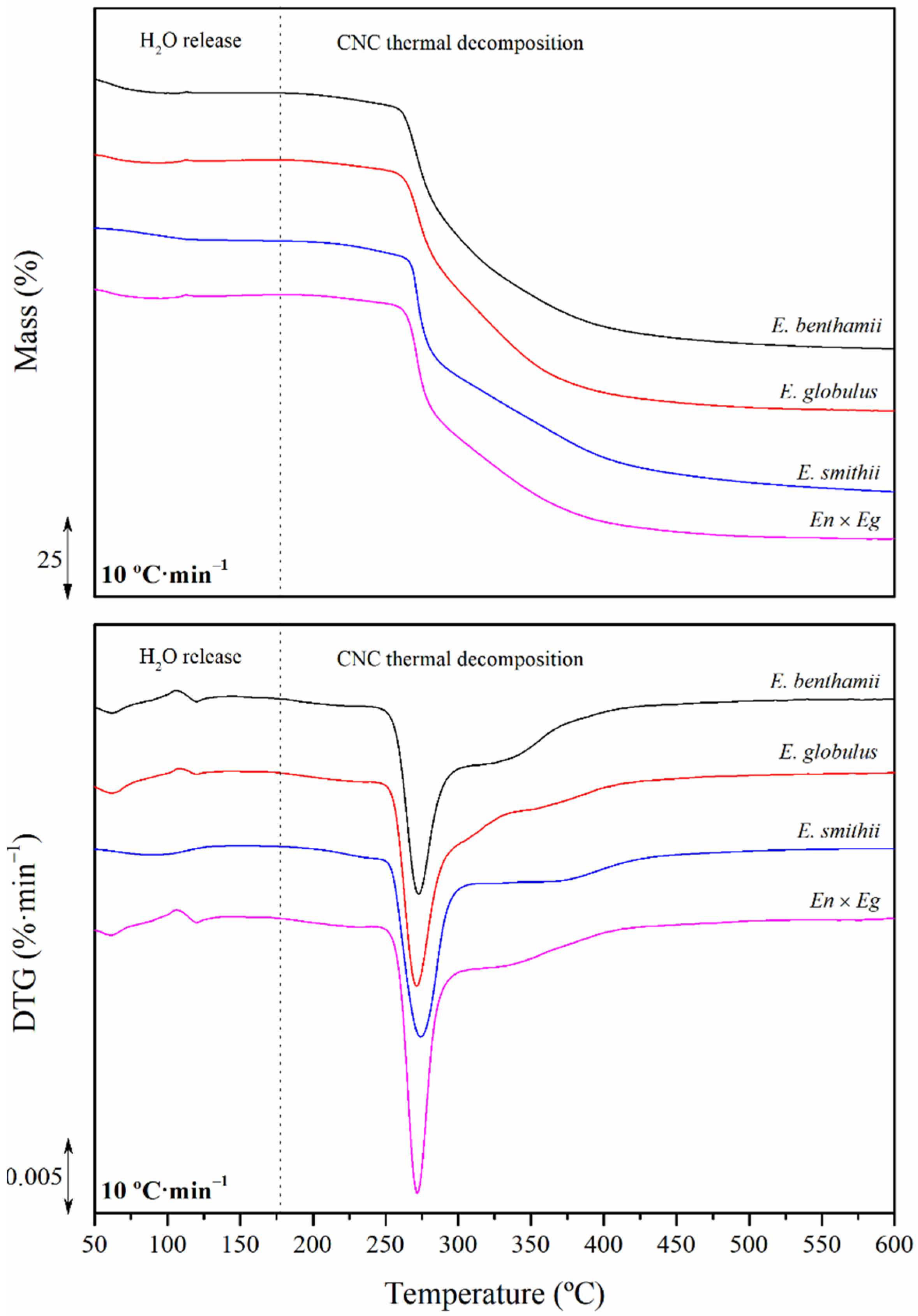 Polymers 14 00423 g005