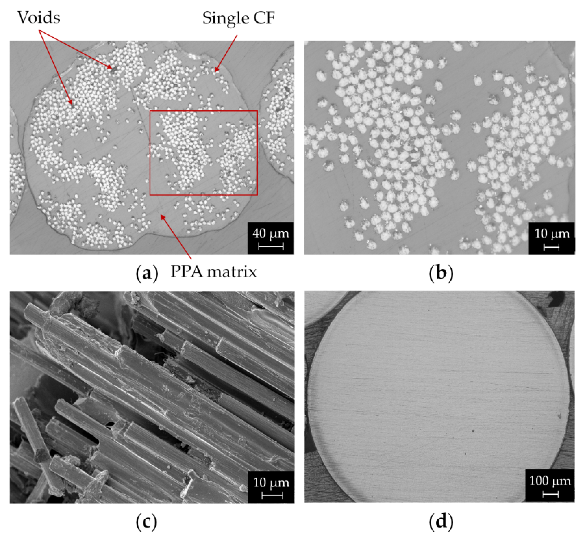 Polymers 14 00426 g004 550