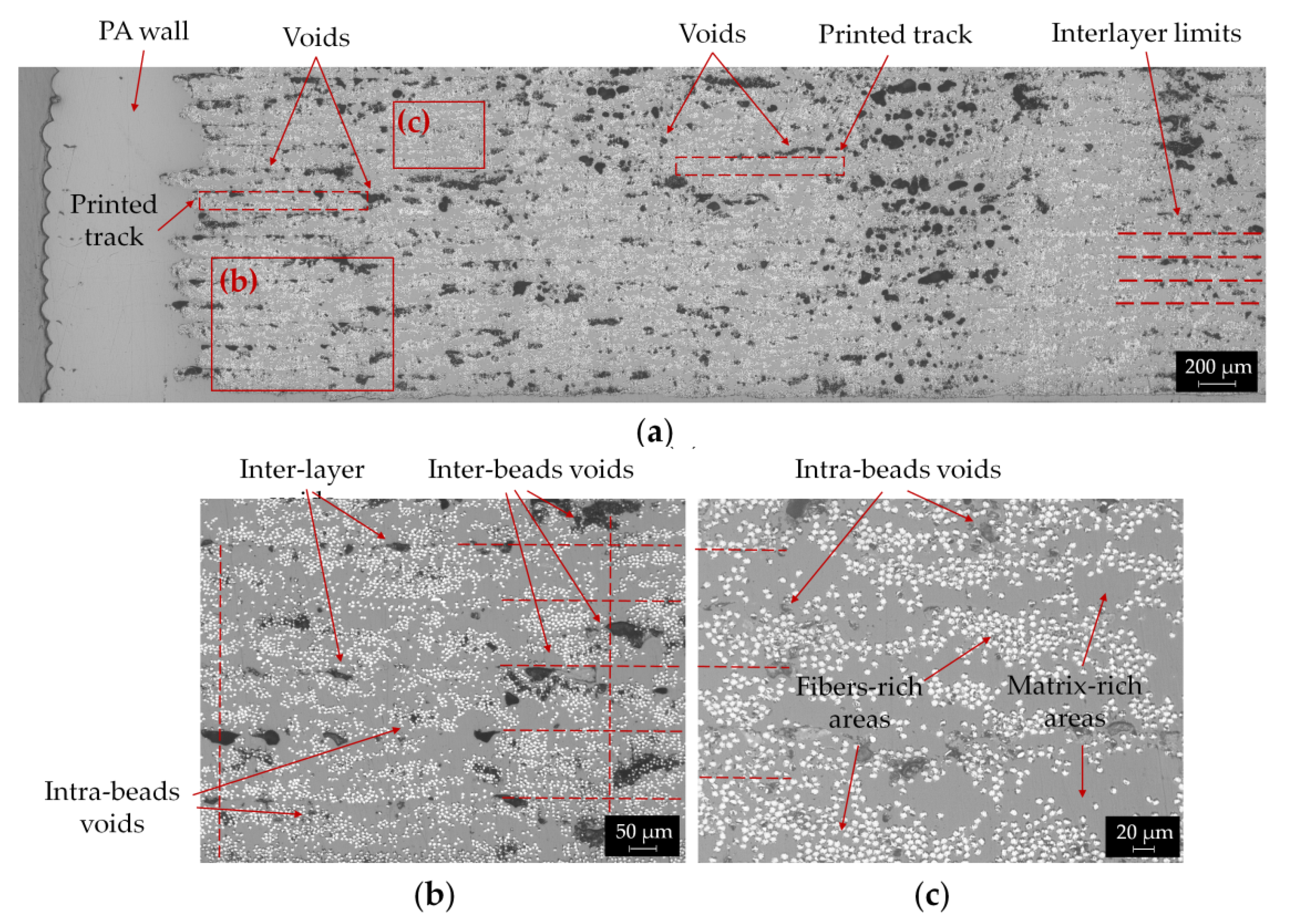 Polymers 14 00426 g006 550