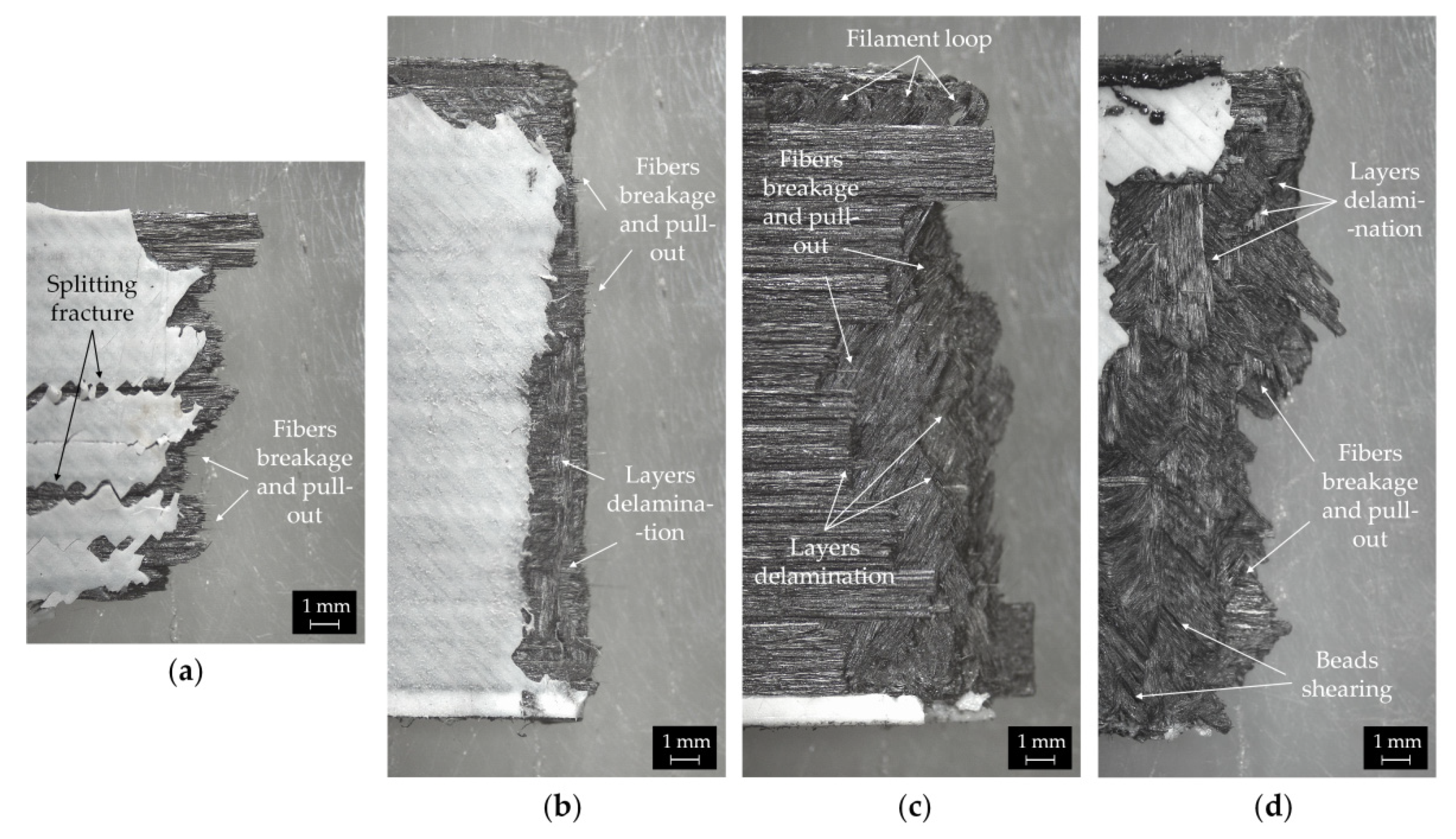 Polymers 14 00426 g010 550