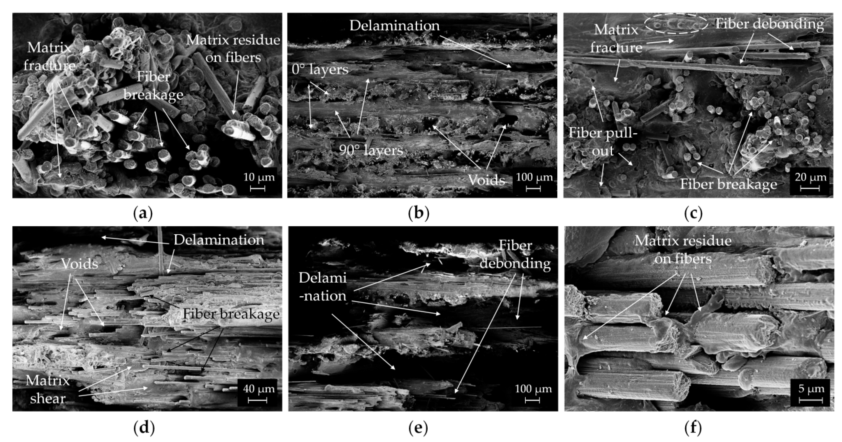 Polymers 14 00426 g011 550