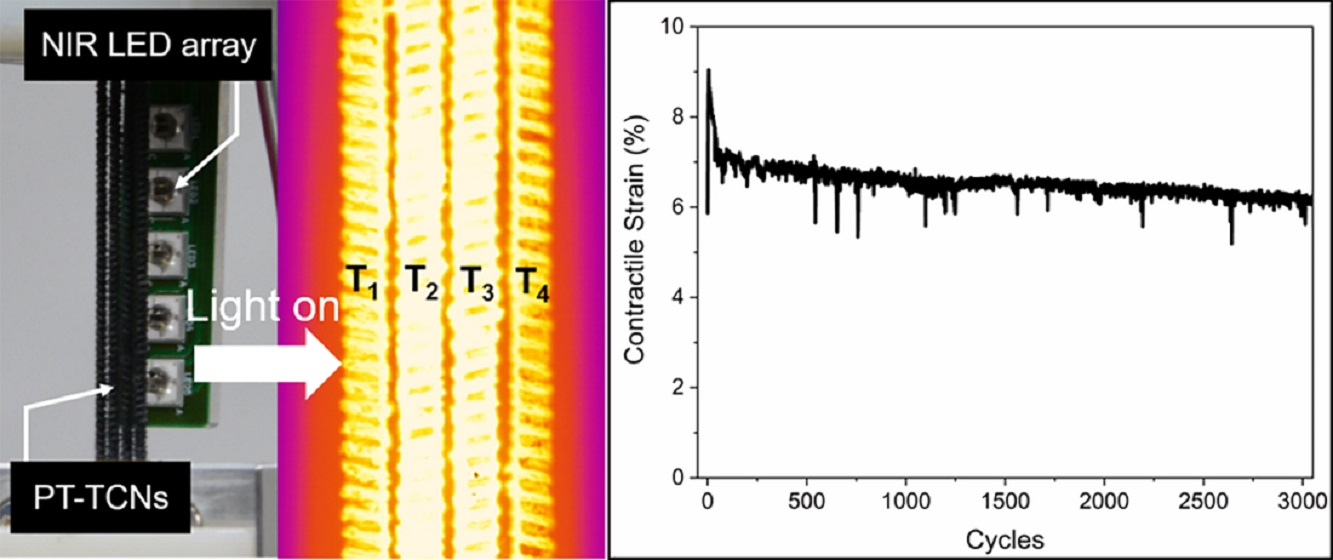 Polymers Free FullText A NIRLightDriven Twisted and Coiled