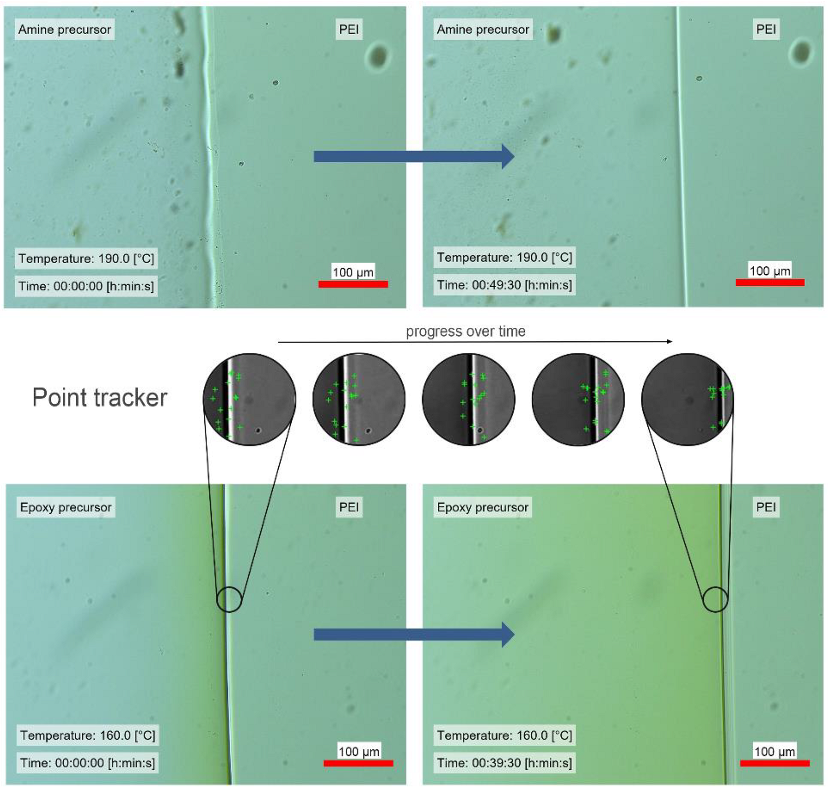 Polymers 14 00435 g004