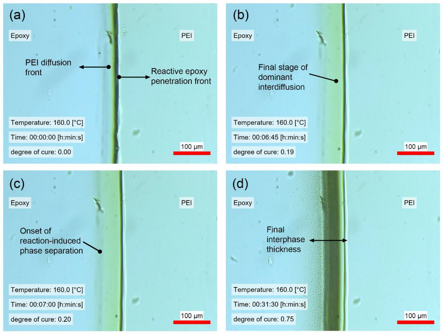Polymers 14 00435 g006