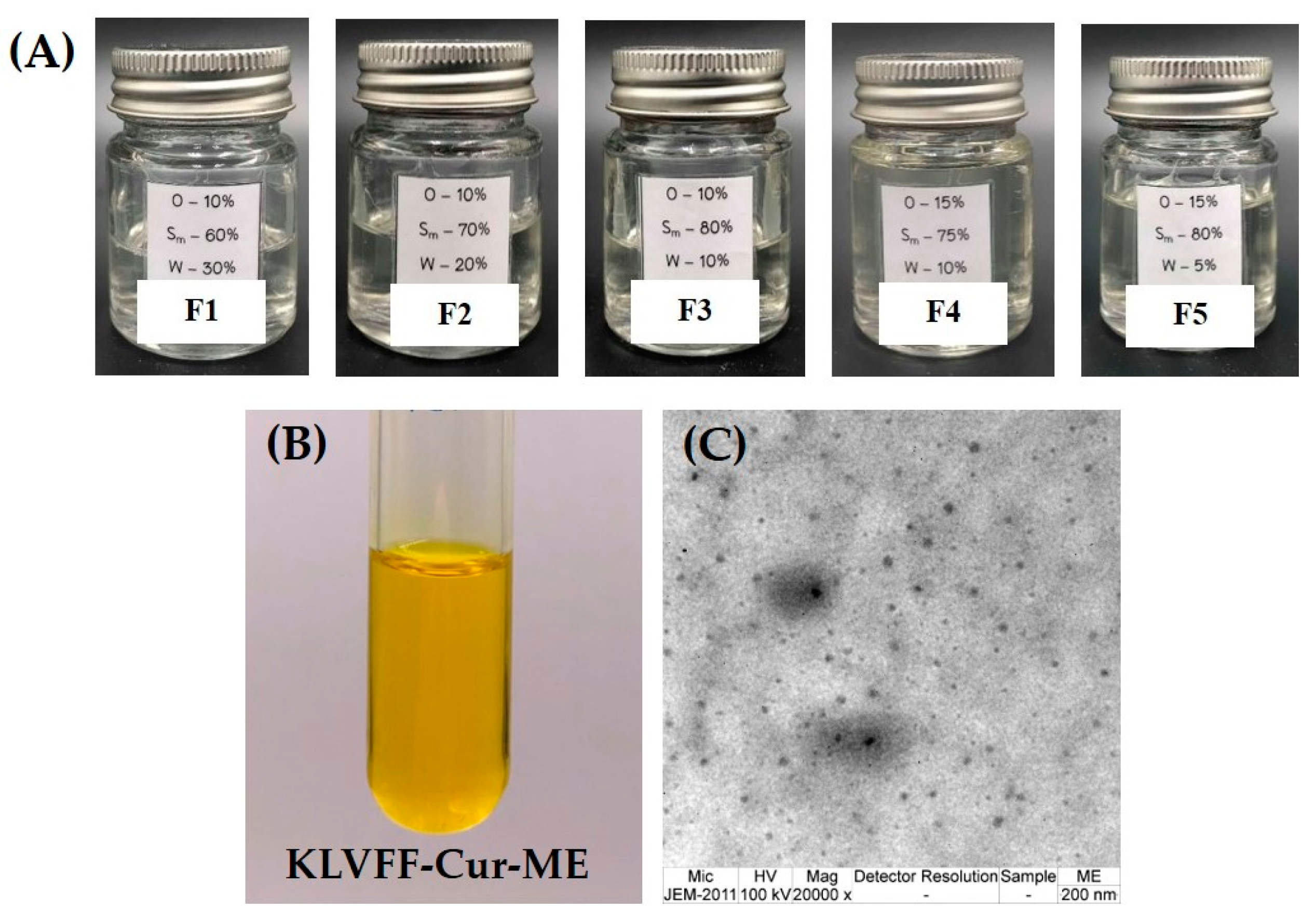 Polymers 14 00443 g006 550
