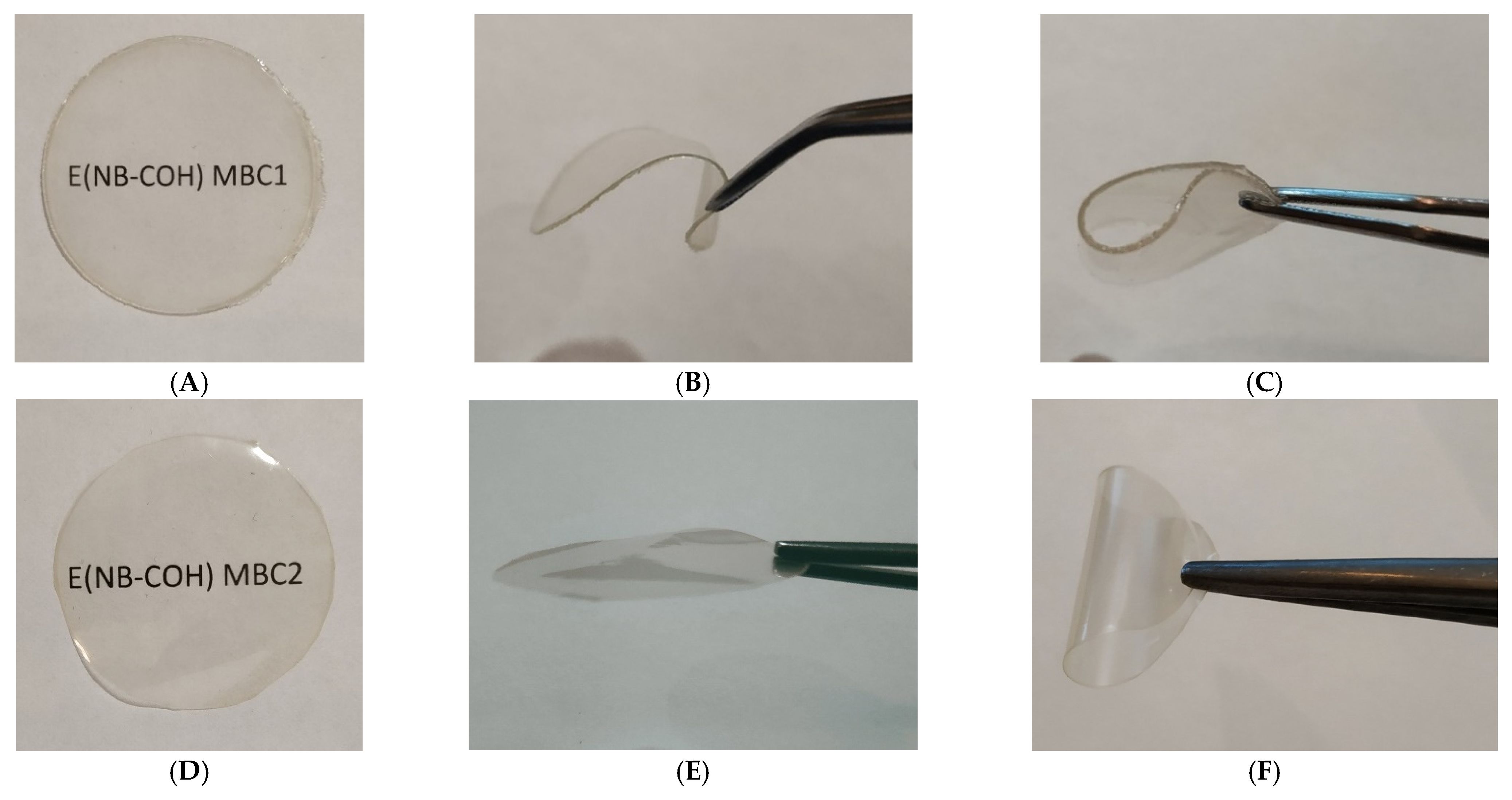 Polymers 14 00444 g004