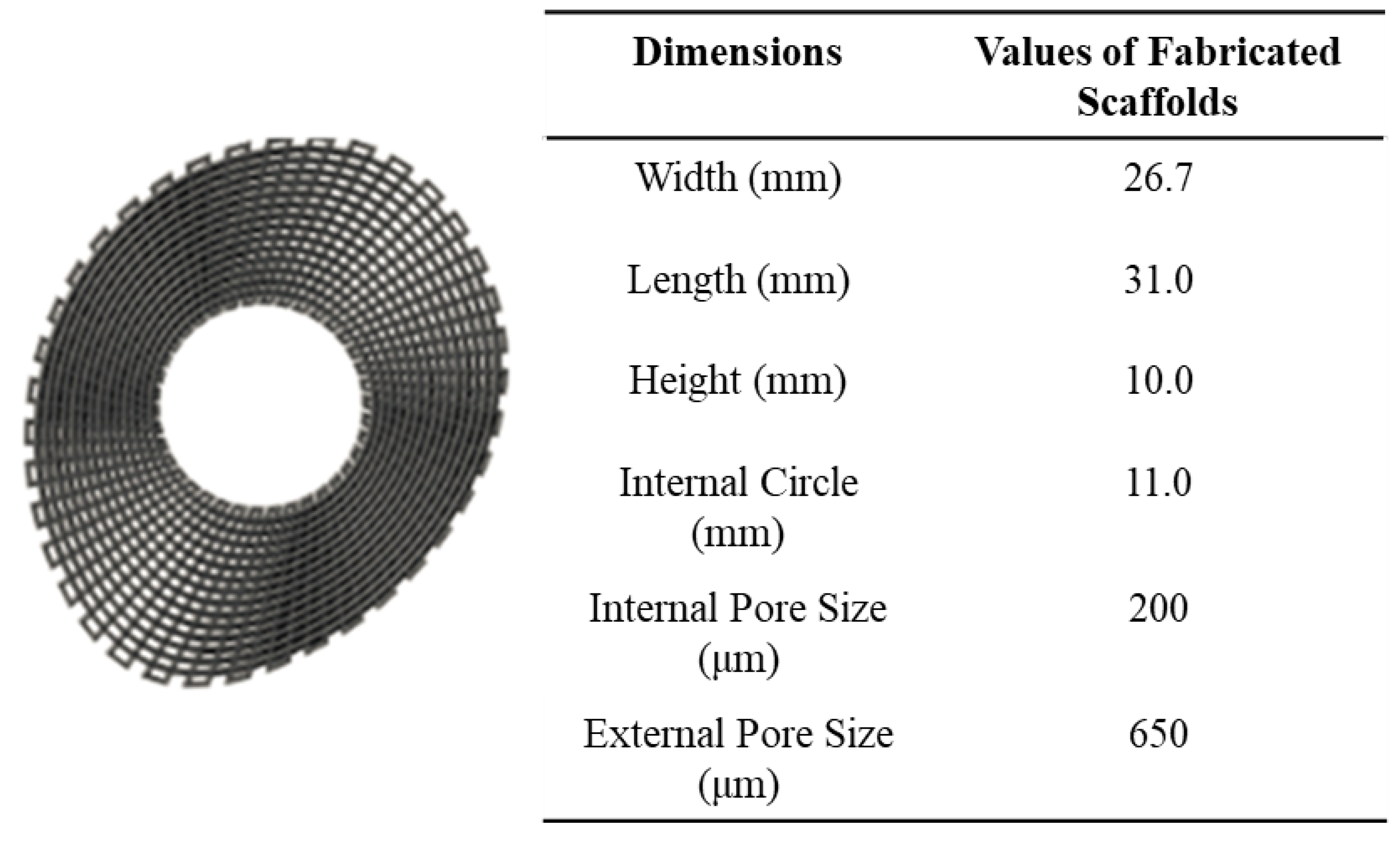 Polymers 14 00445 g002