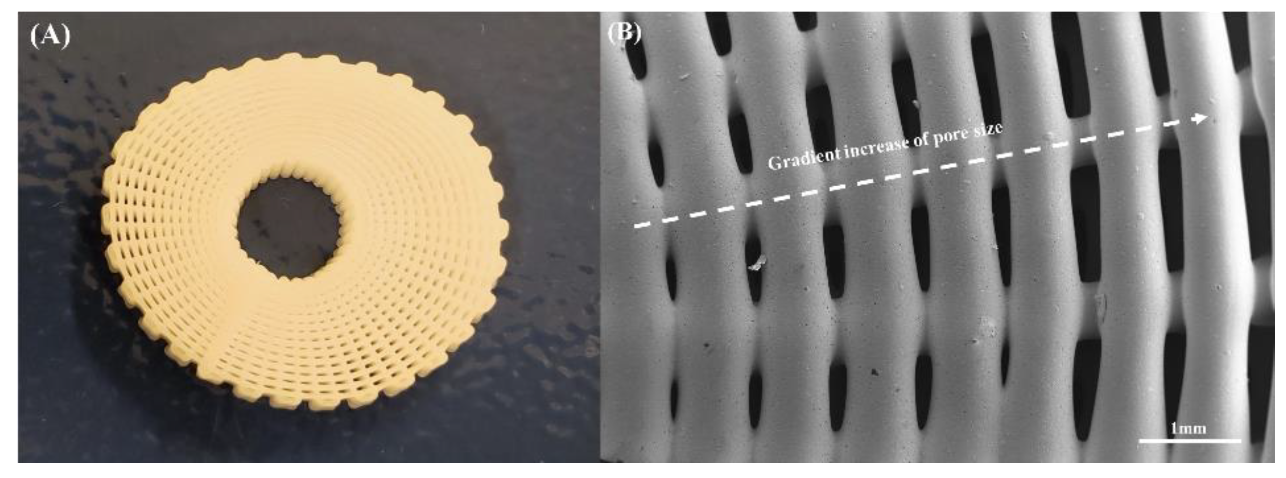 Polymers 14 00445 g004