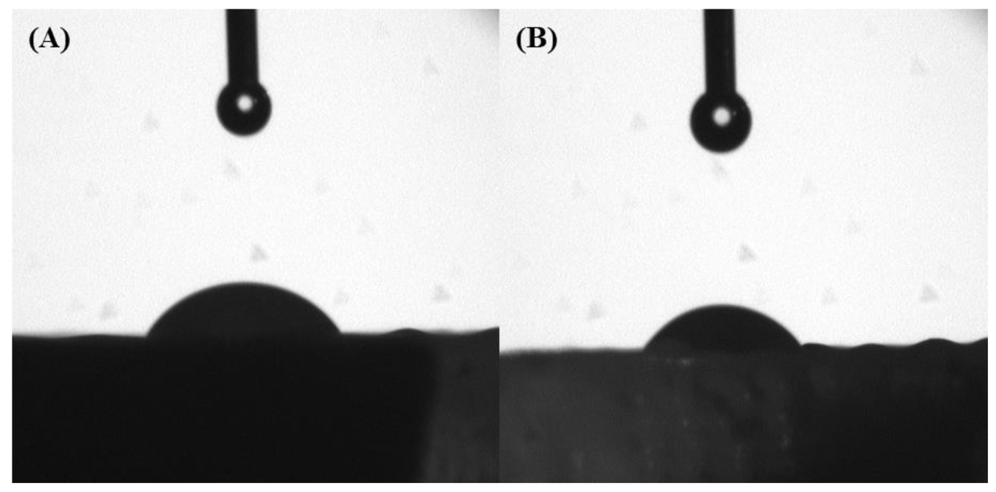 Polymers 14 00445 g006