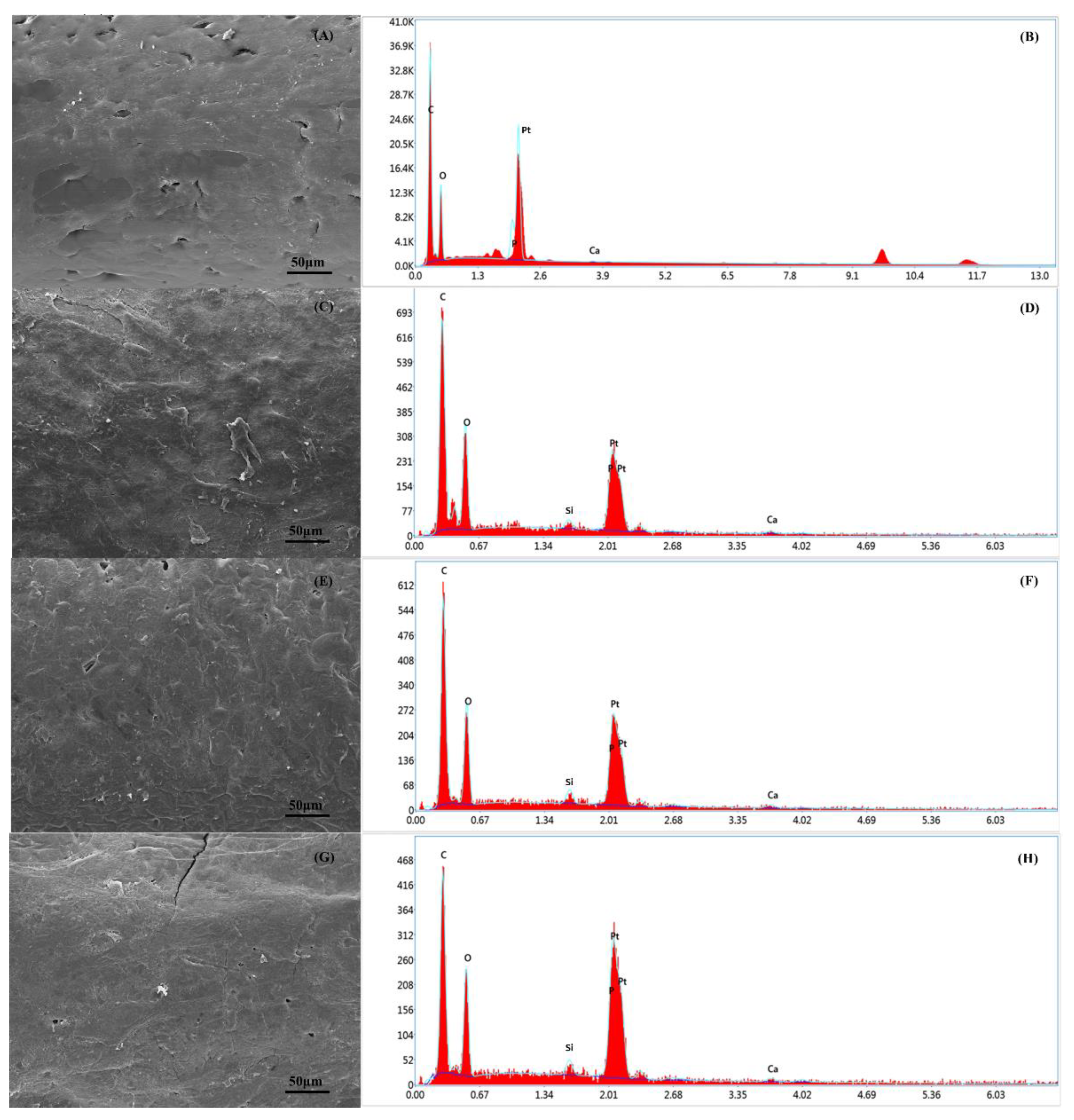 Polymers 14 00445 g013
