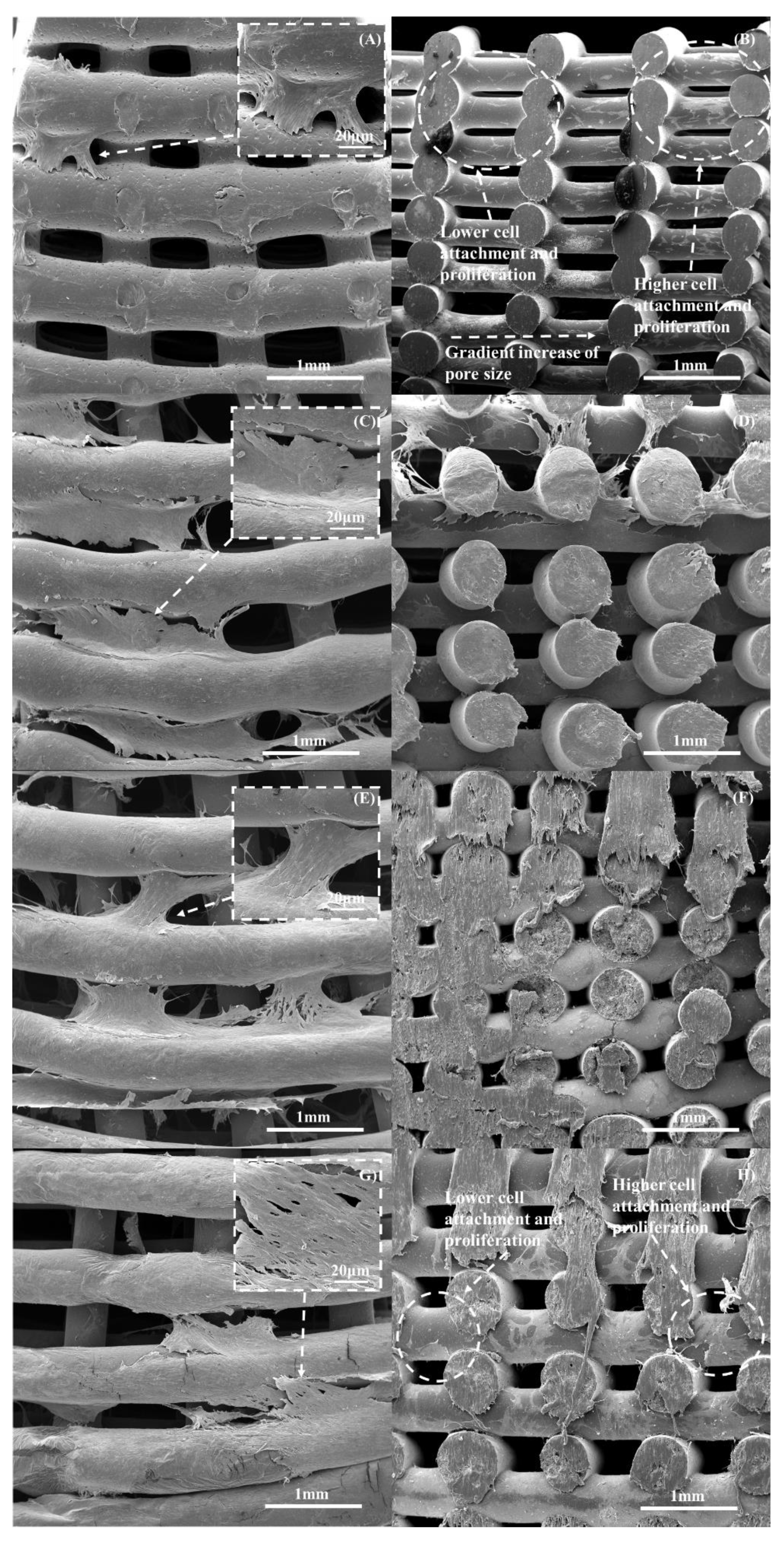 Polymers 14 00445 g015