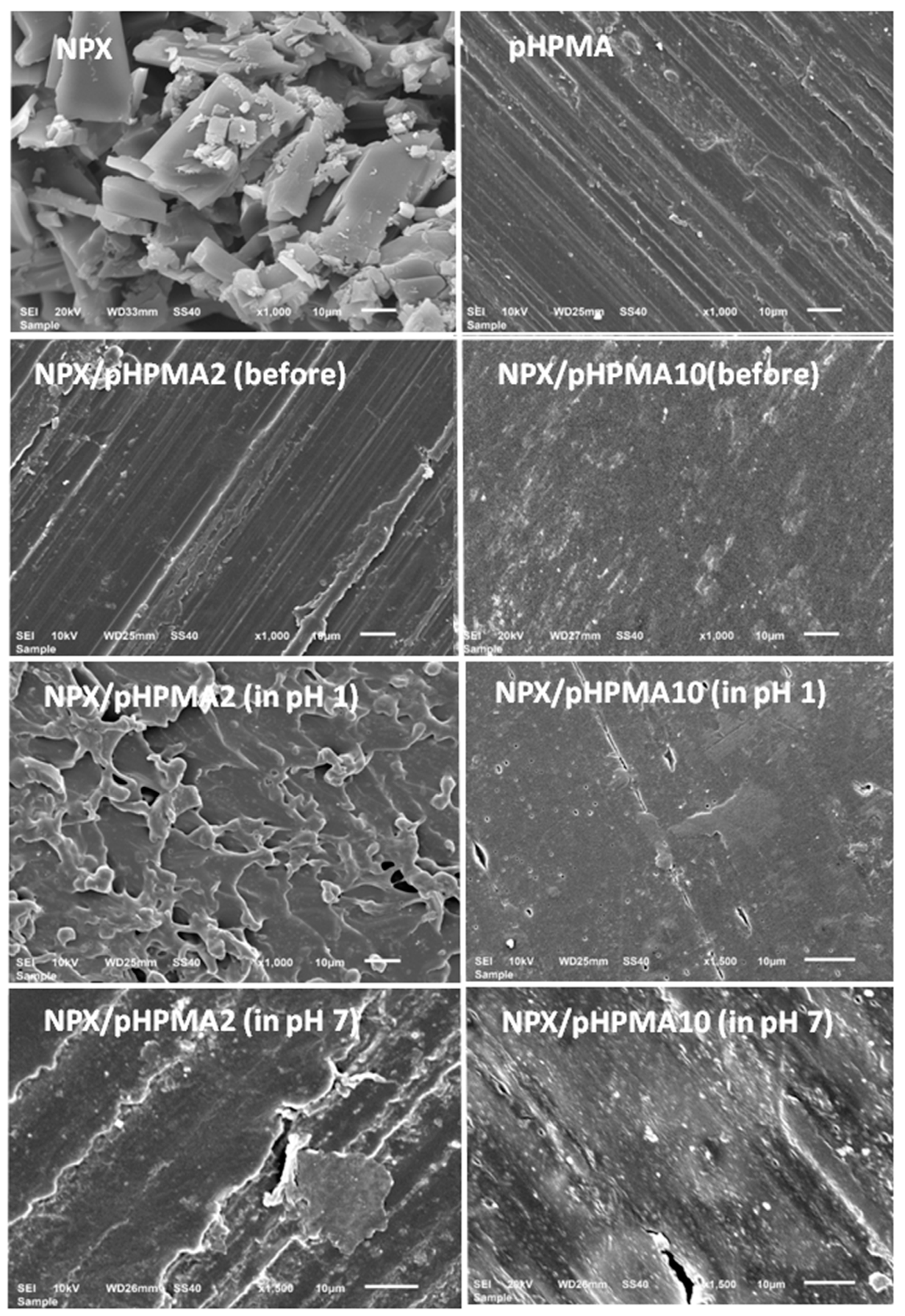 Polymers 14 00450 g017 Polymers 14 00450 g017