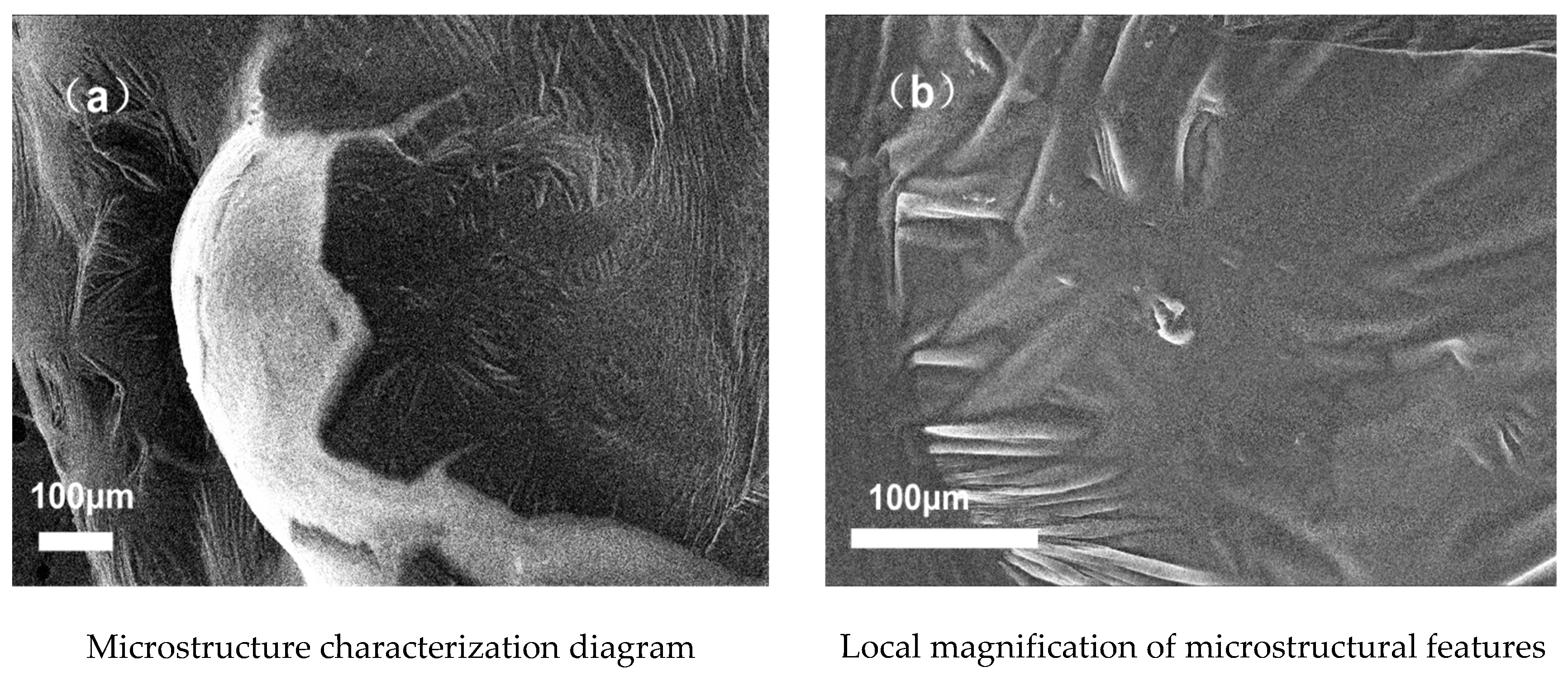 Polymers 14 00453 g006
