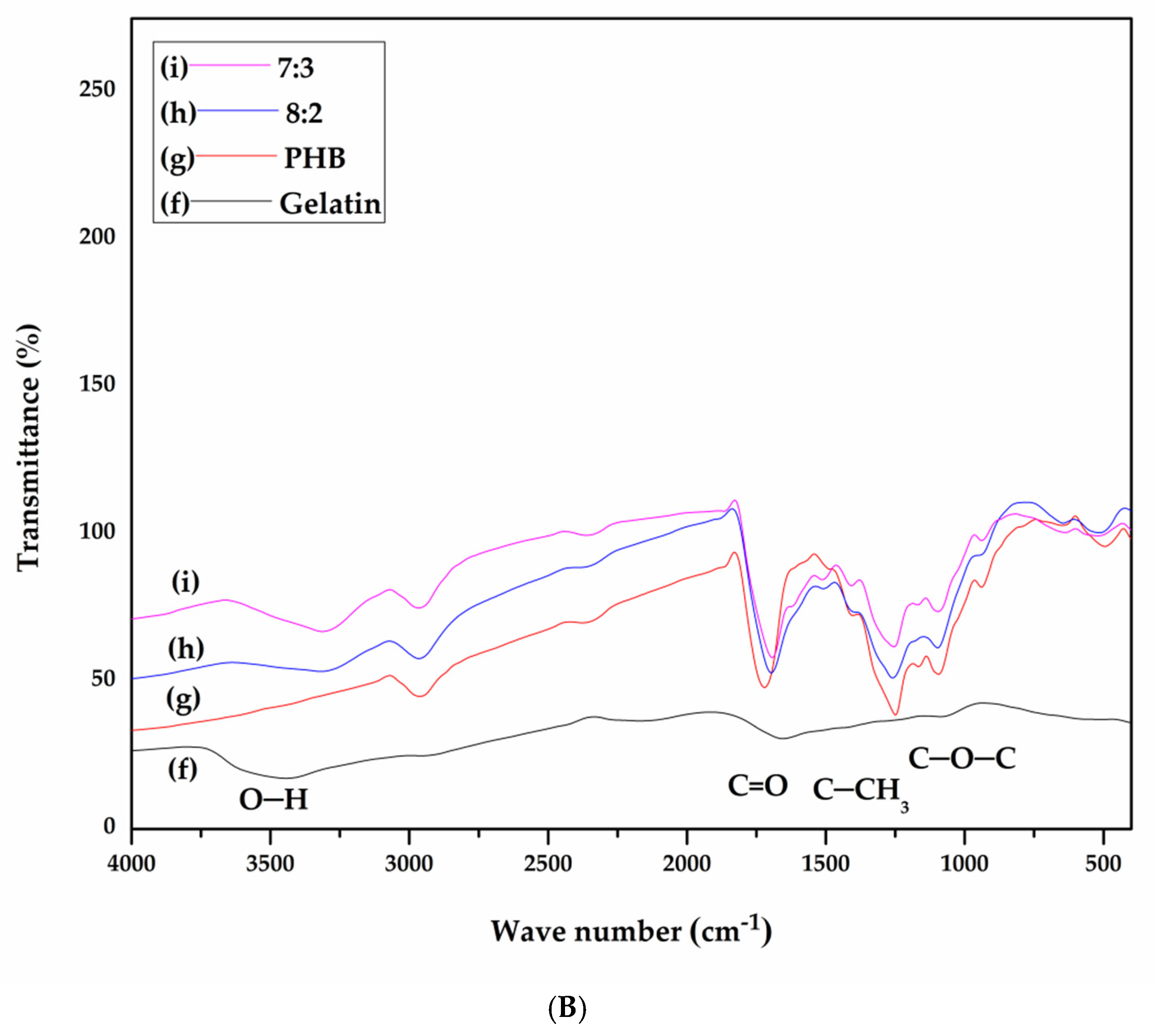 Polymers 14 00454 g002b