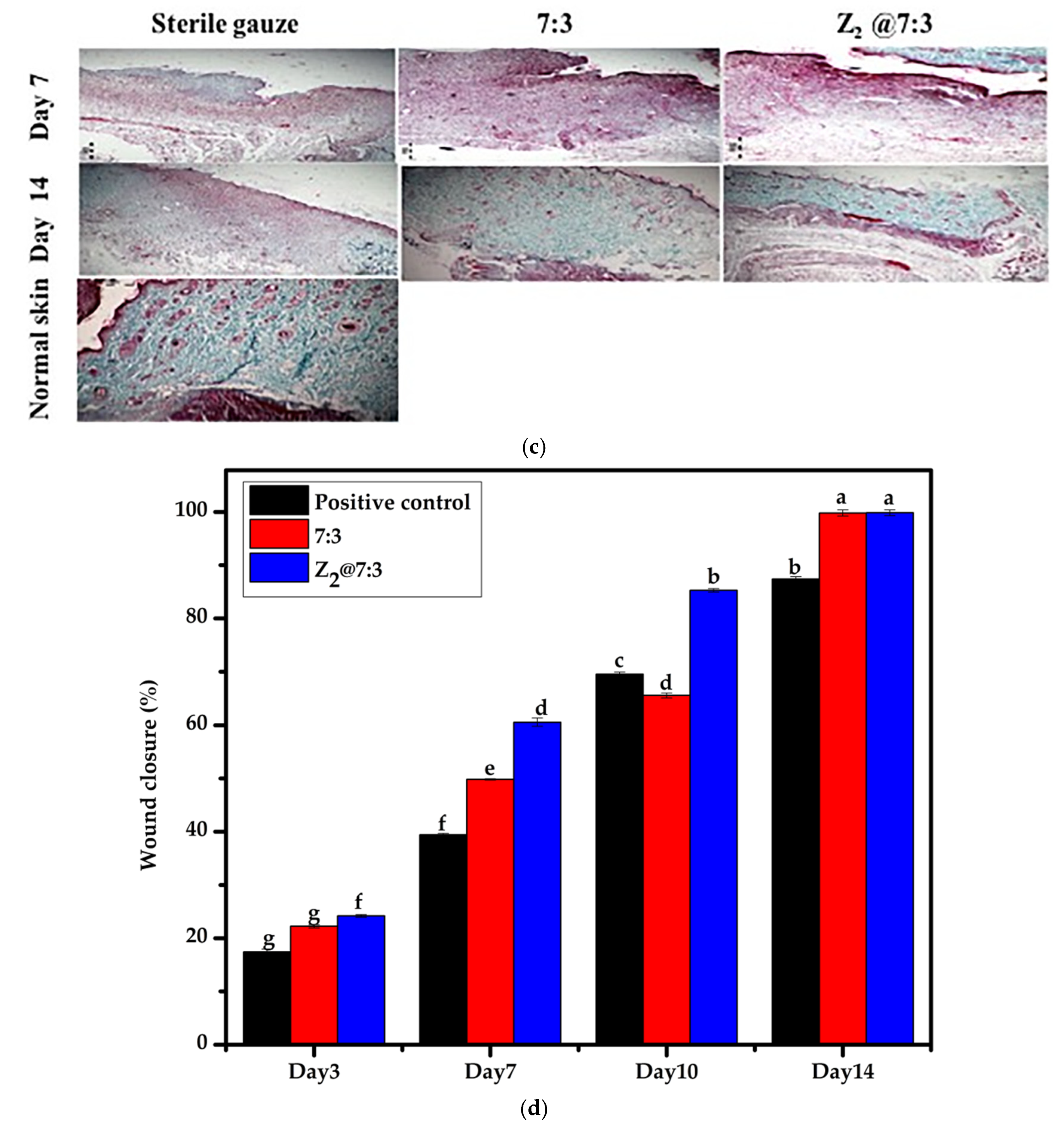 Polymers 14 00454 g008b
