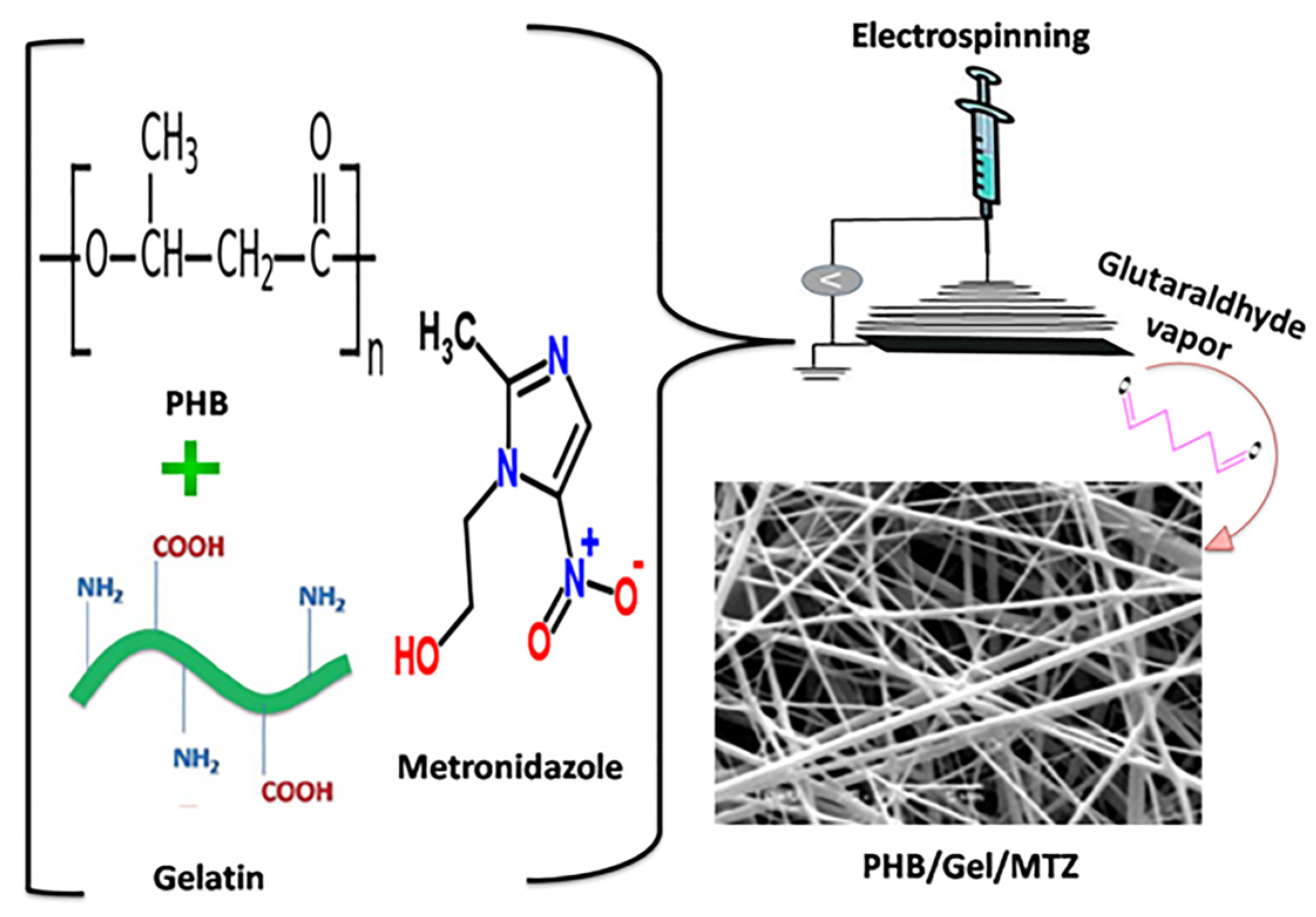 Polymers 14 00454 sch001