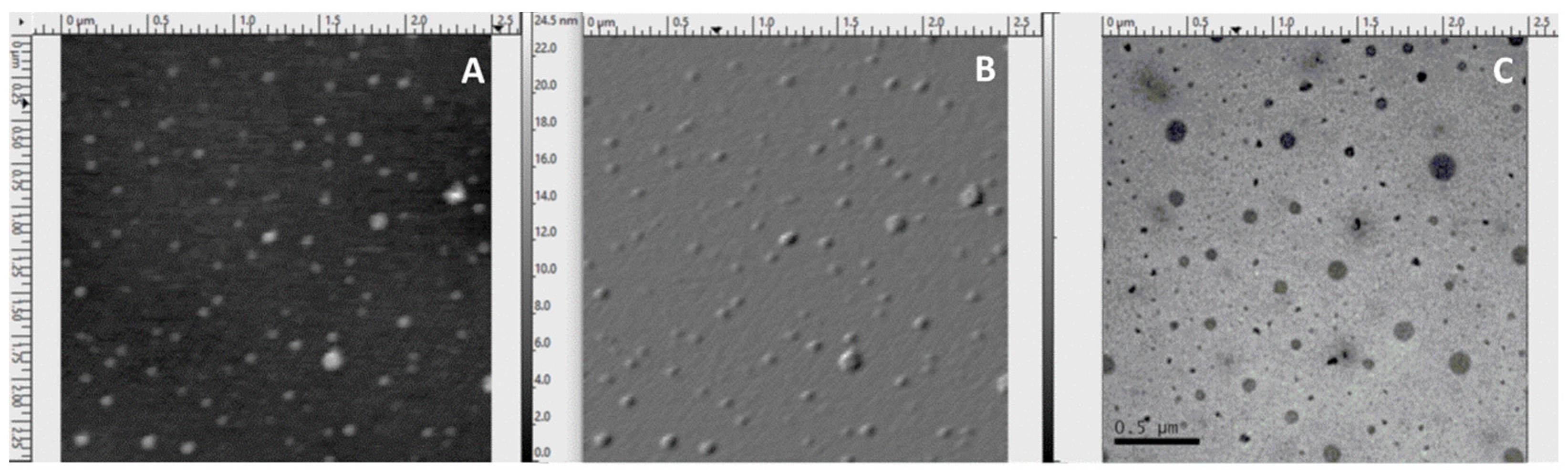 Polymers 14 00455 g002 550