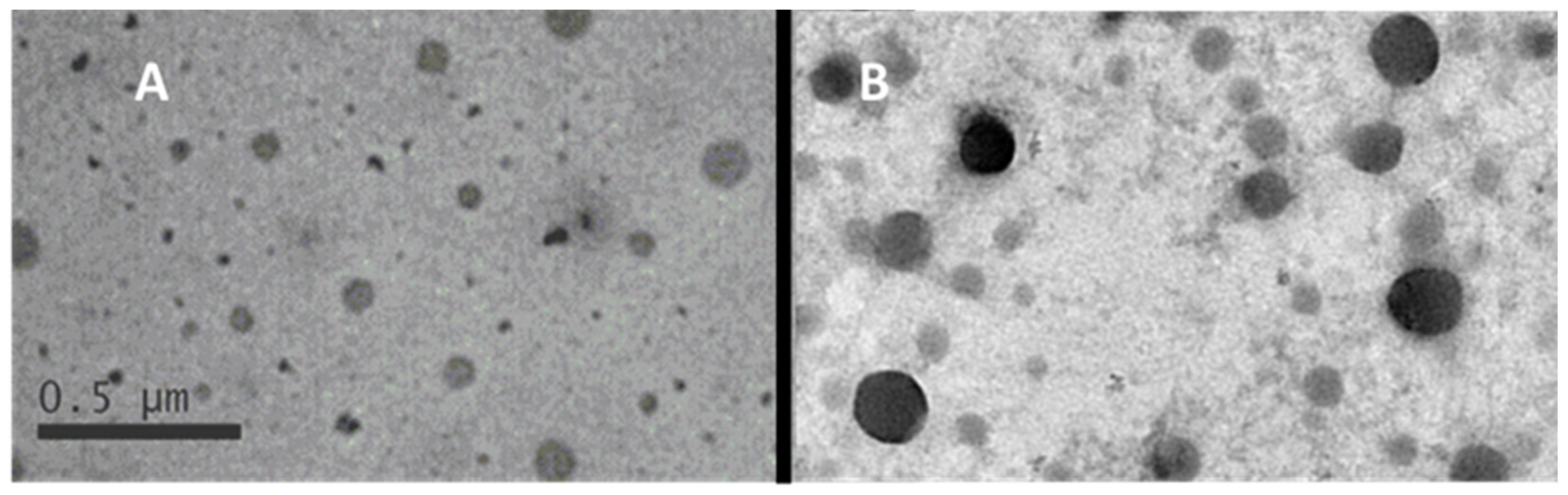 Polymers 14 00455 g003 550