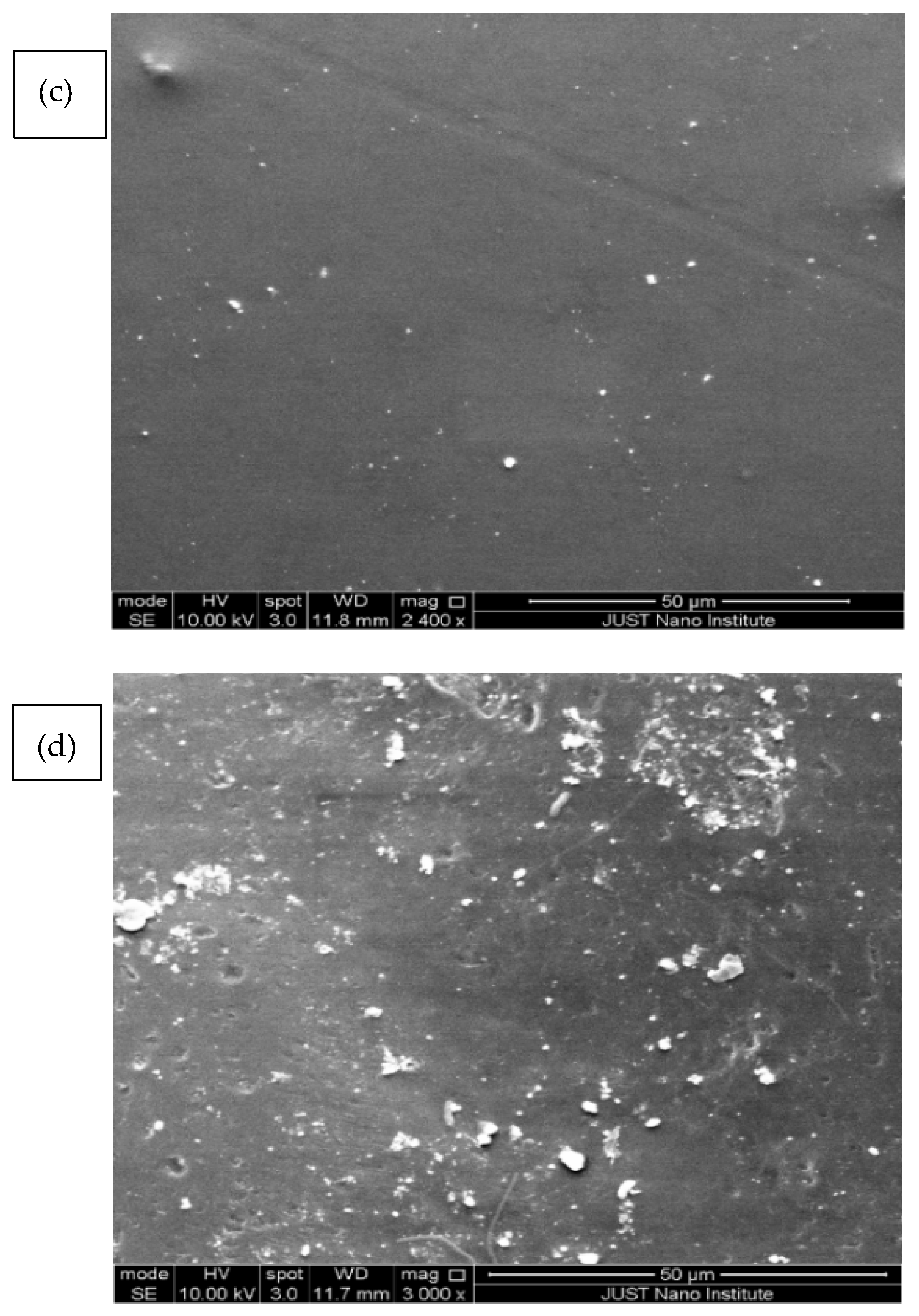Polymers 14 00457 g004b Polymers 14 00457 g004b