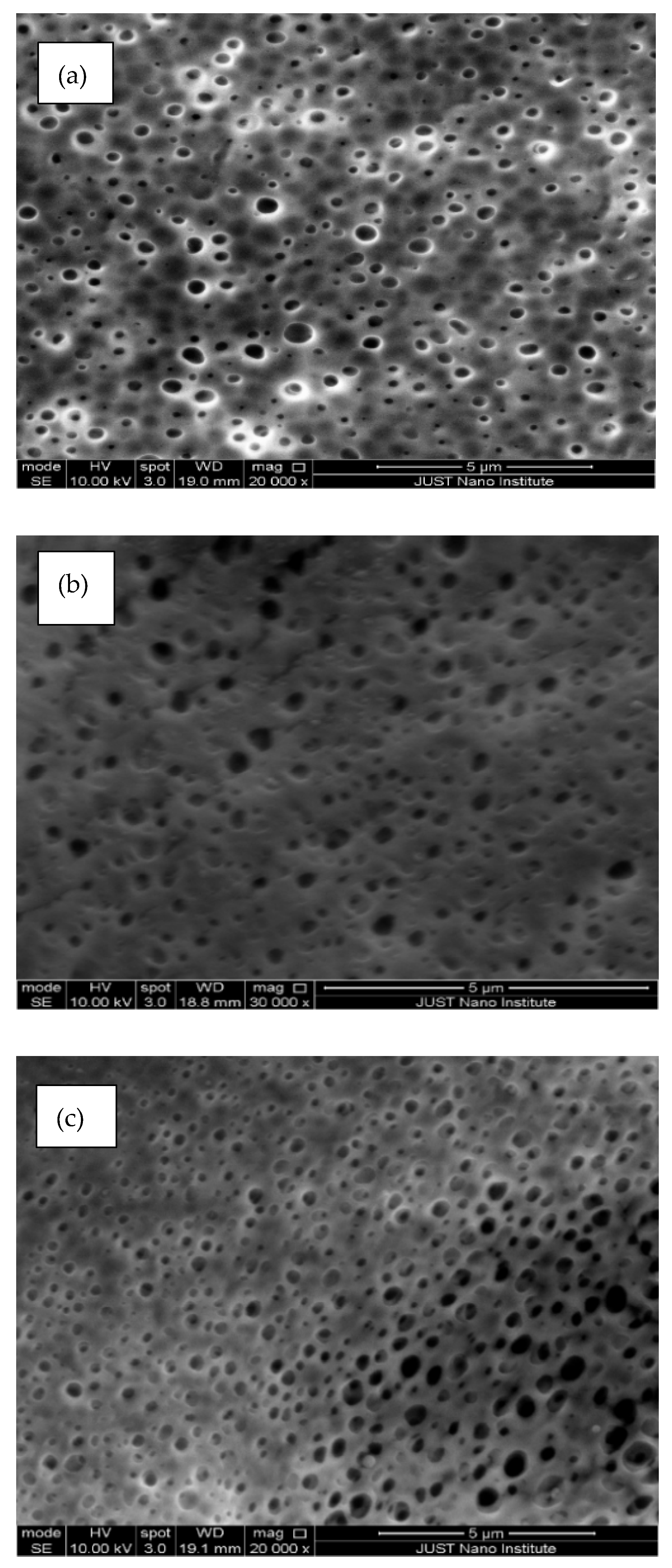 Polymers 14 00457 g005a Polymers 14 00457 g005a