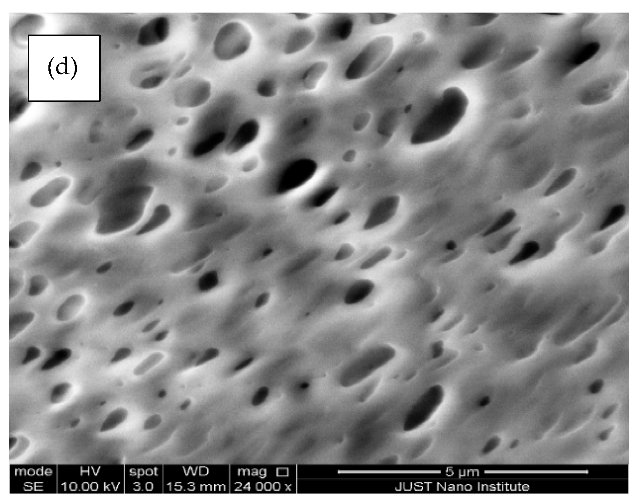 Polymers 14 00457 g005b Polymers 14 00457 g005b