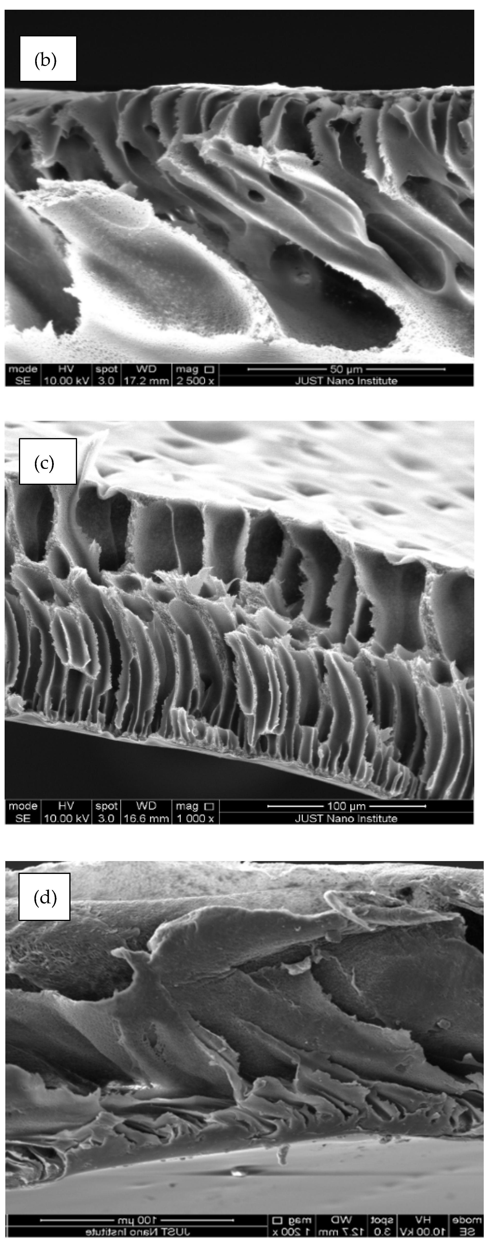 Polymers 14 00457 g006b Polymers 14 00457 g006b