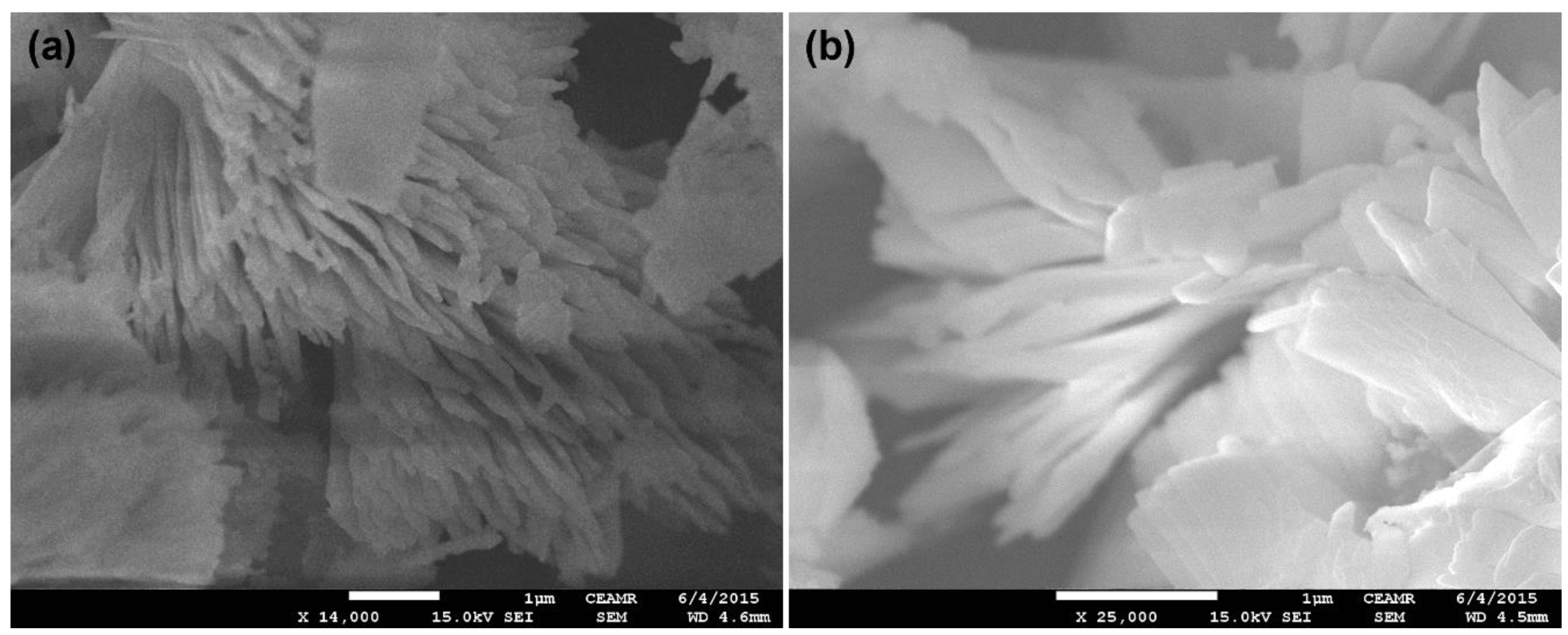 Polymers 14 00458 g001