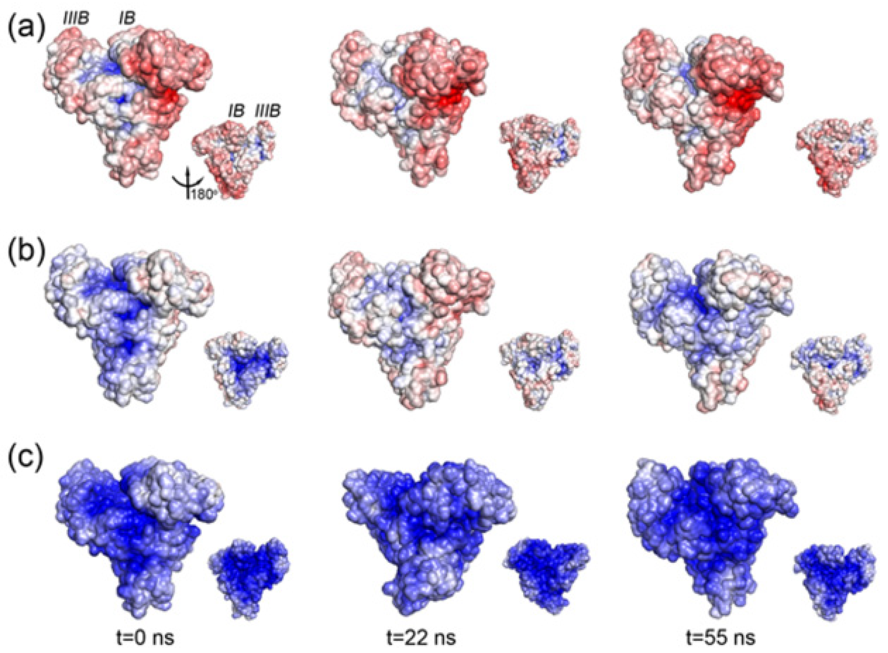 Polymers 14 00460 g001