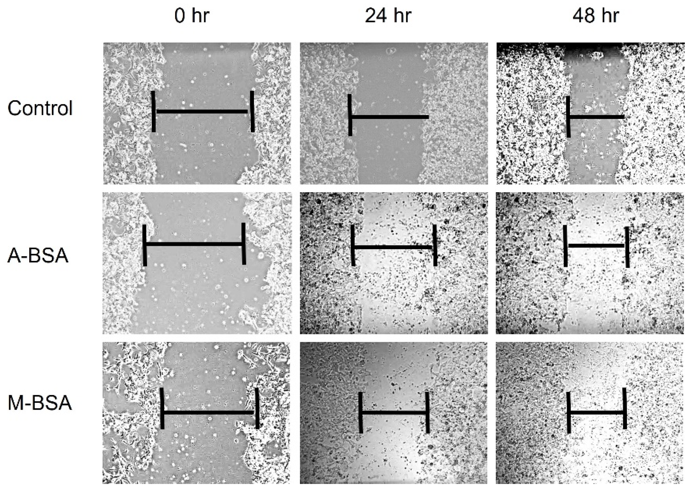 Polymers 14 00460 g013