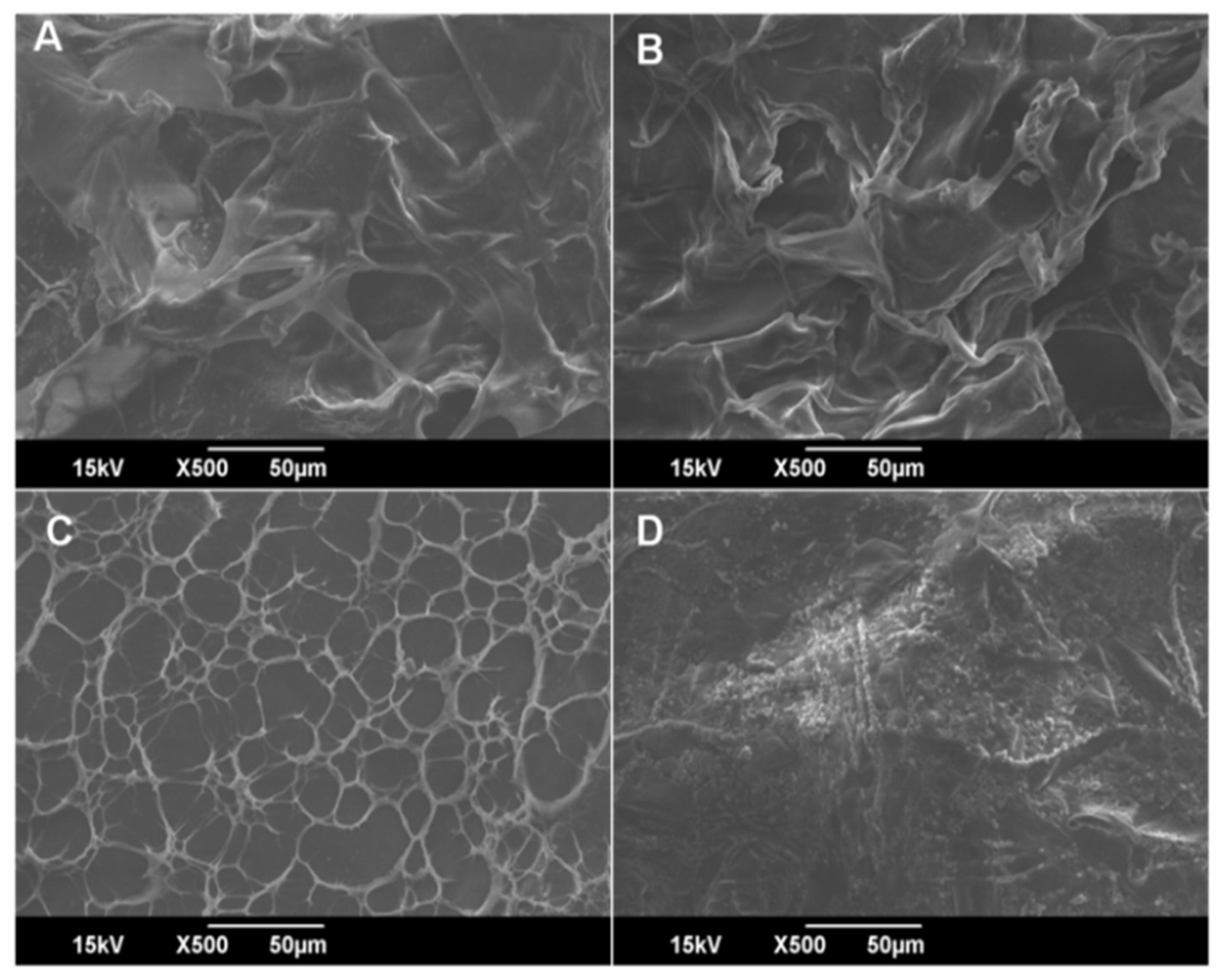 Polymers 14 00463 g004