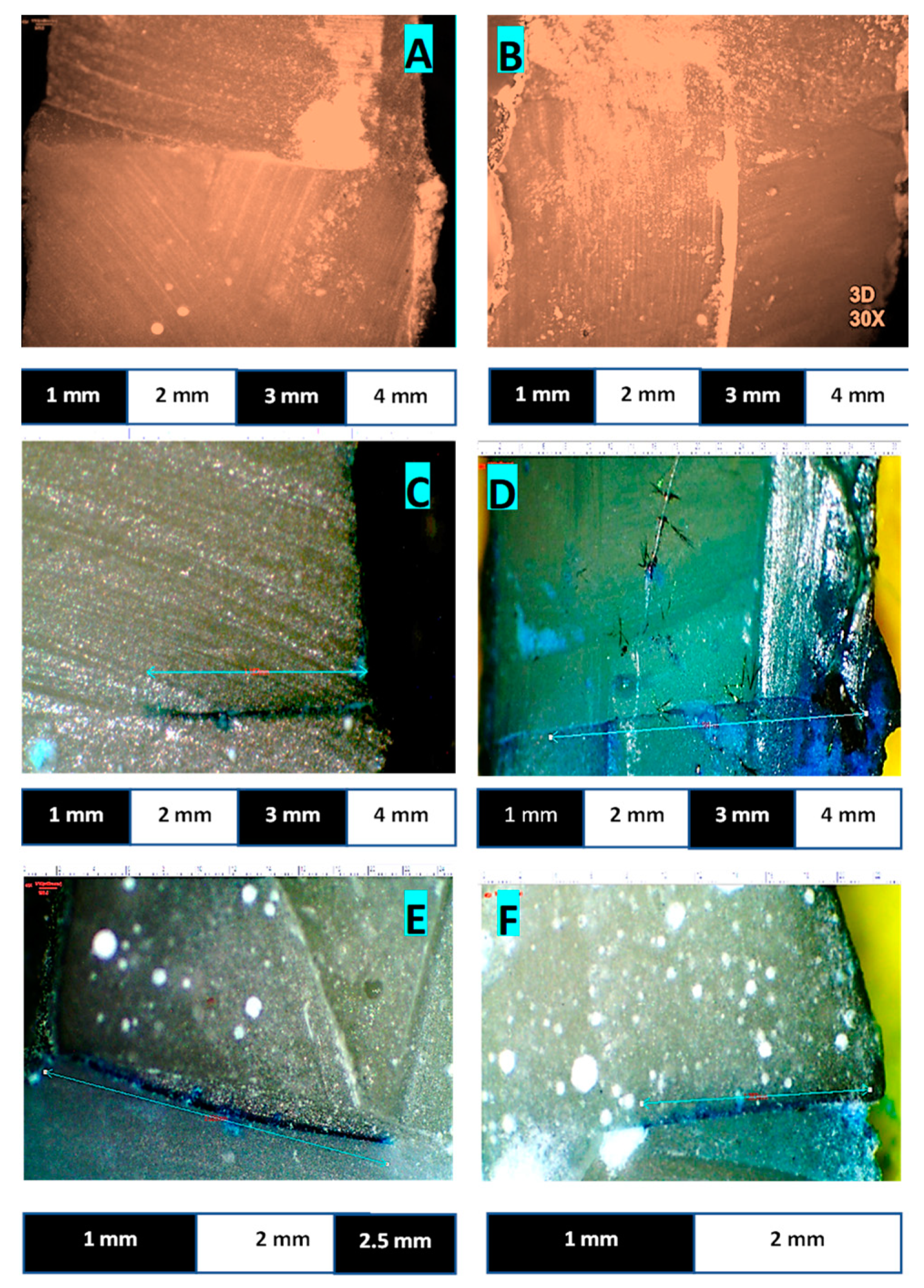 Polymers 14 00466 g004 Polymers 14 00466 g004