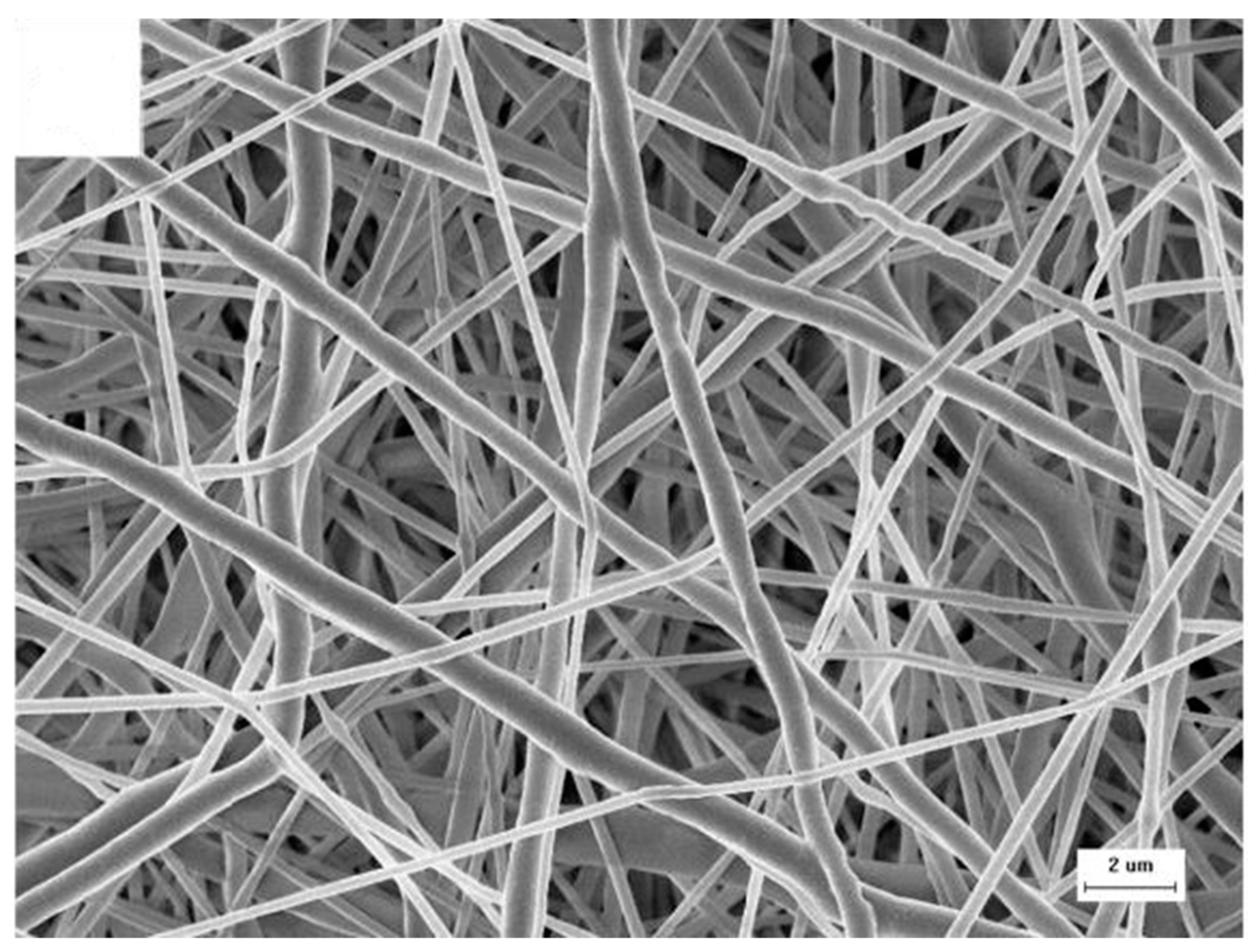 Polymers 14 00467 g003