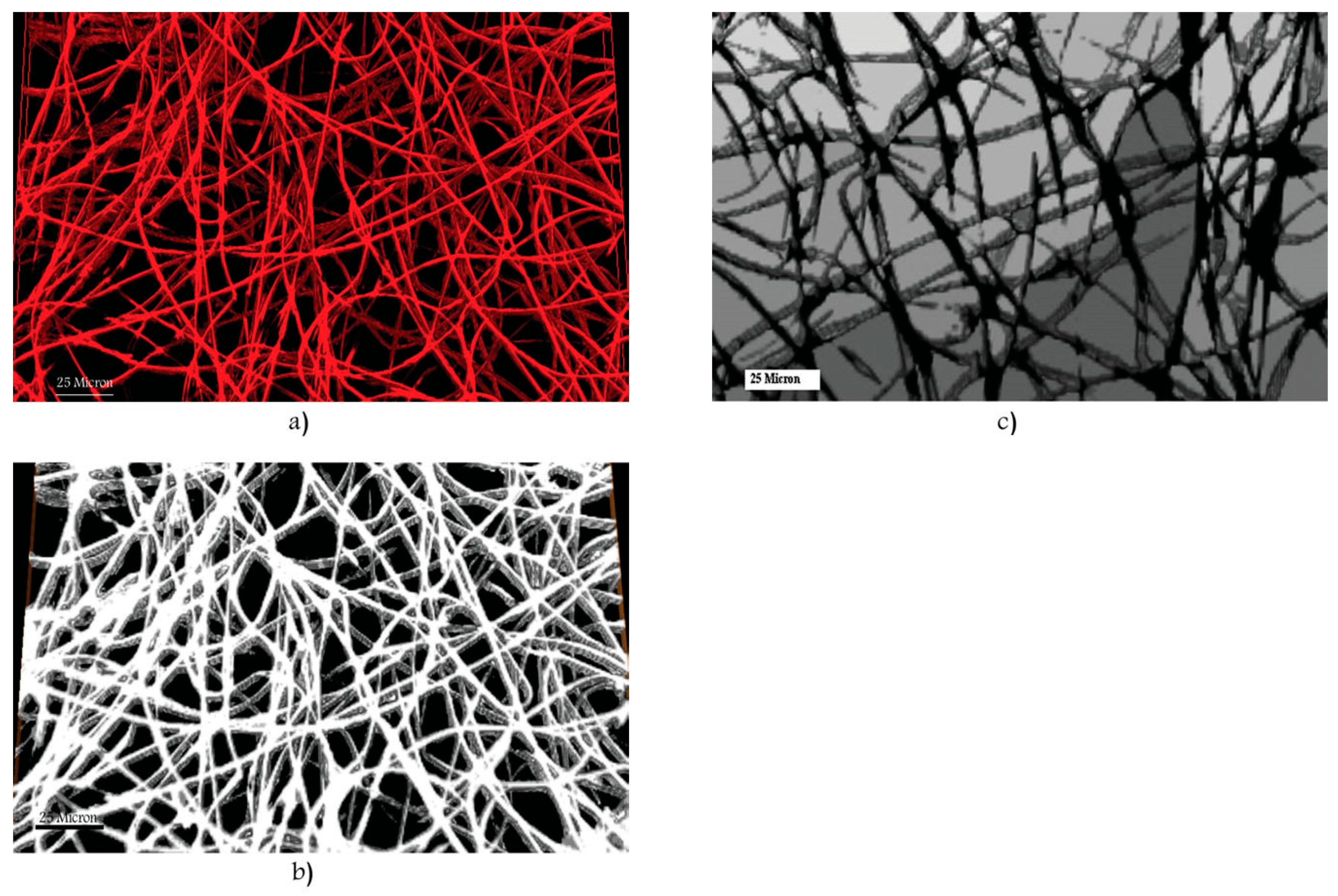 Polymers 14 00467 g006