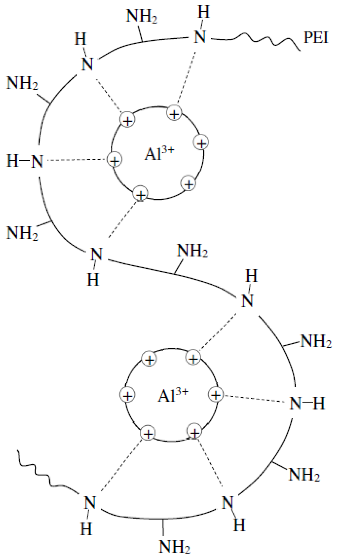 Polymers 14 00468 g002
