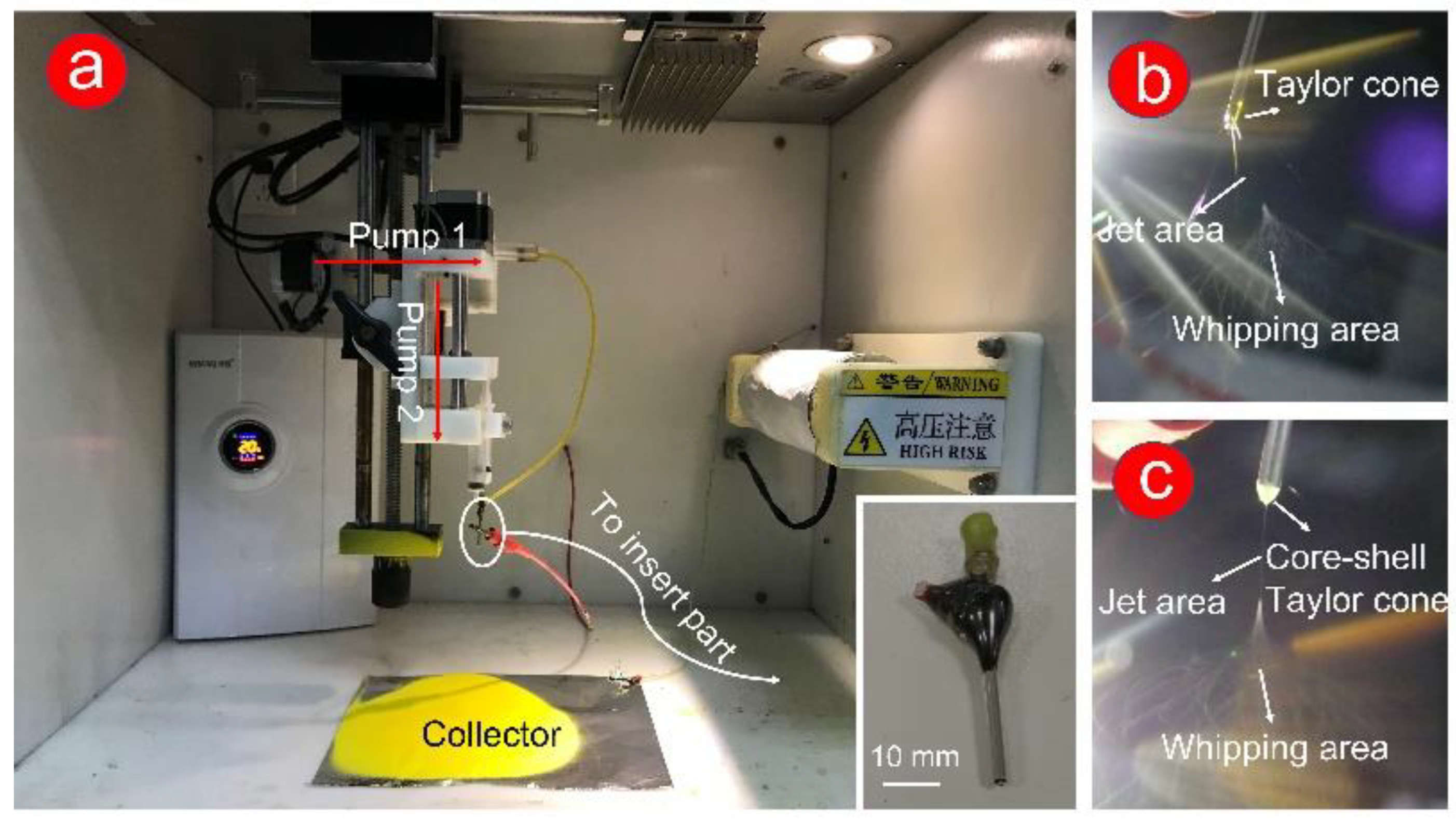 Polymers 14 00469 g001