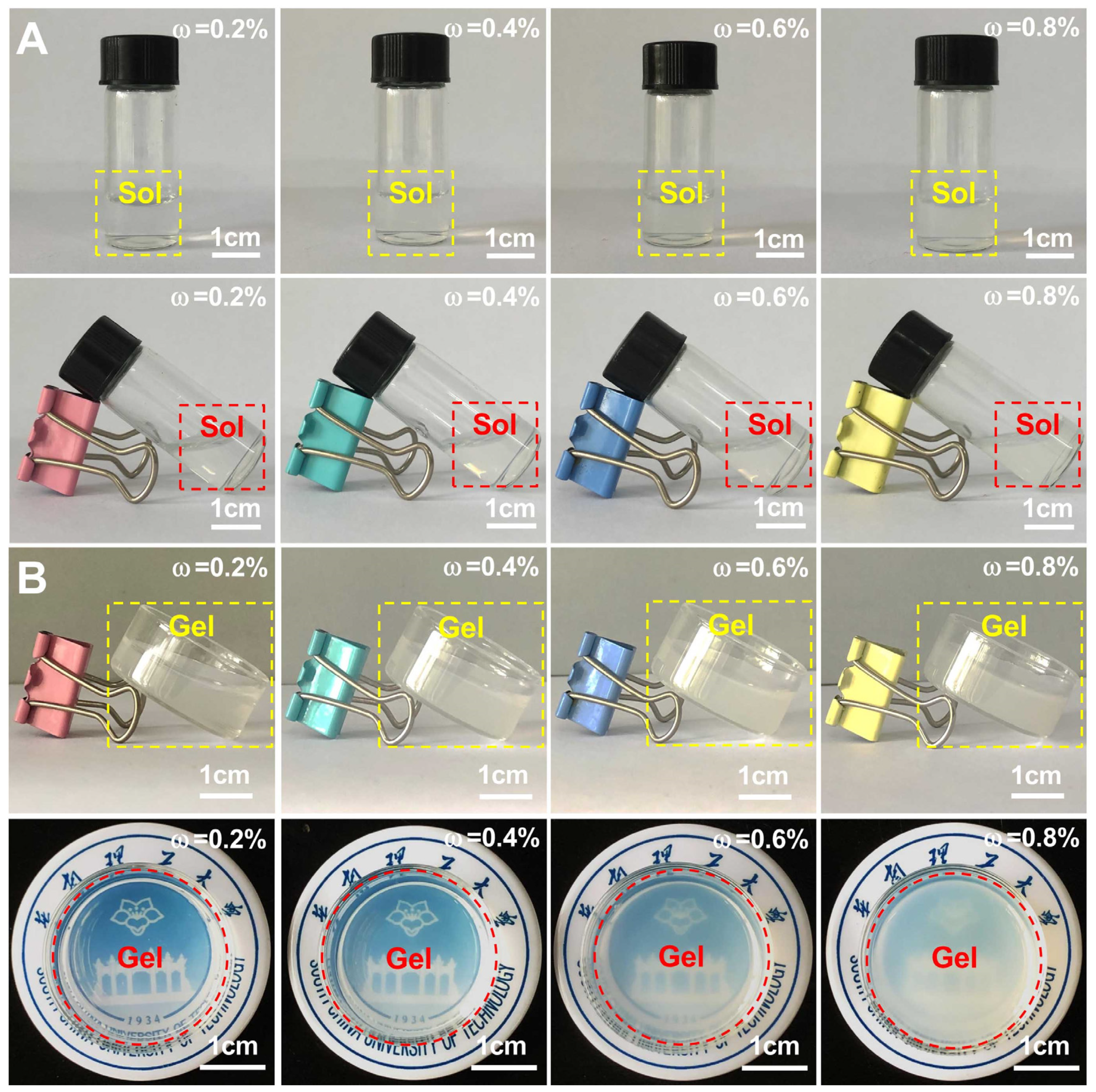 Polymers 14 00474 g004