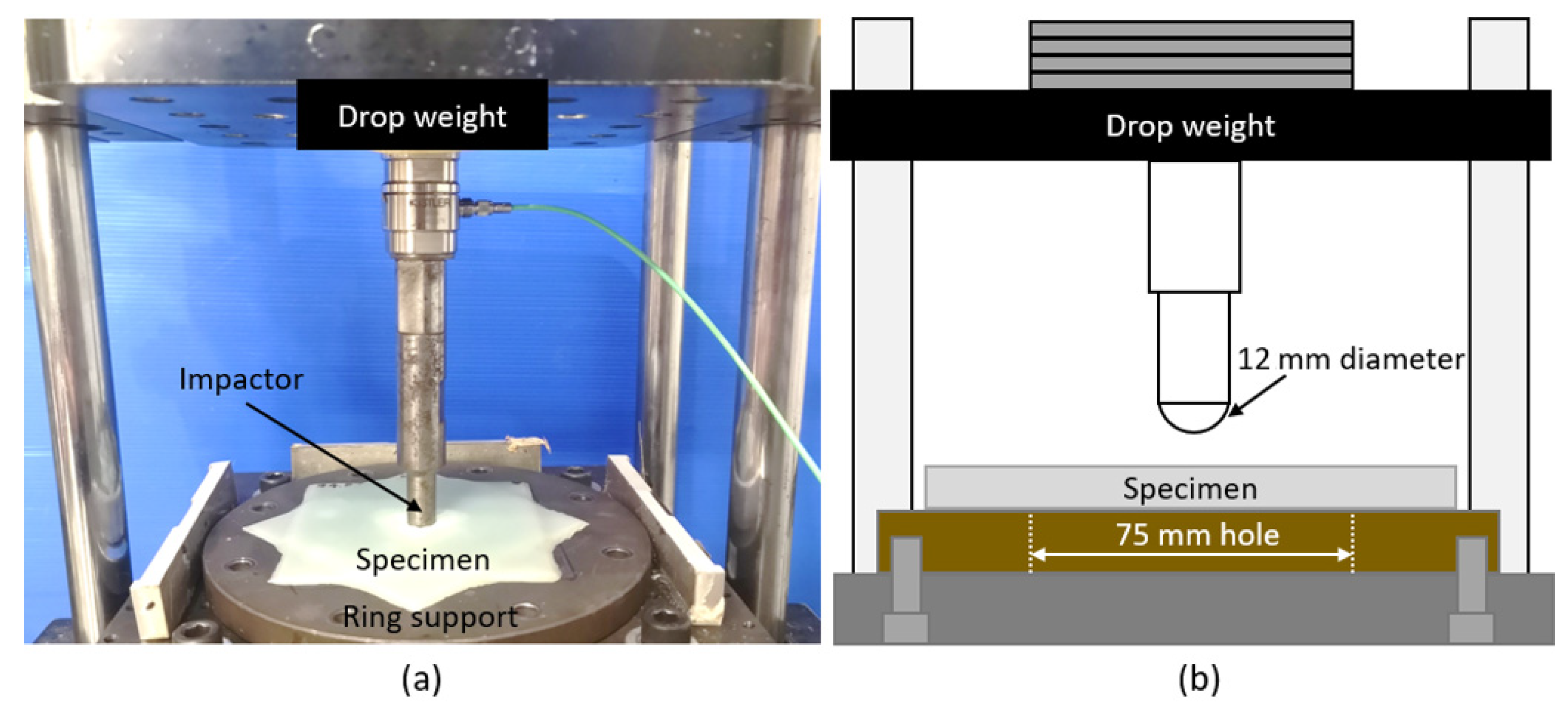 Polymers 14 00475 g002 550