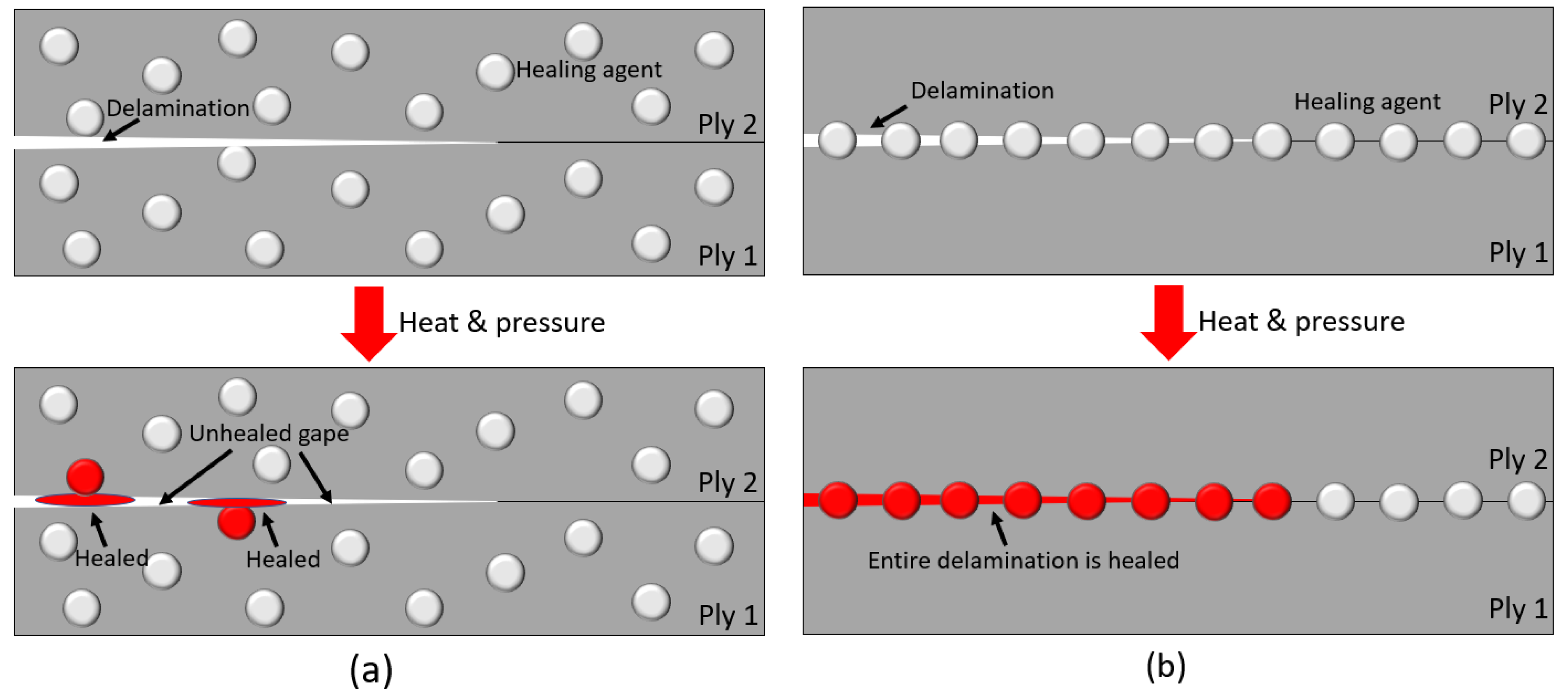Polymers 14 00475 g003 550