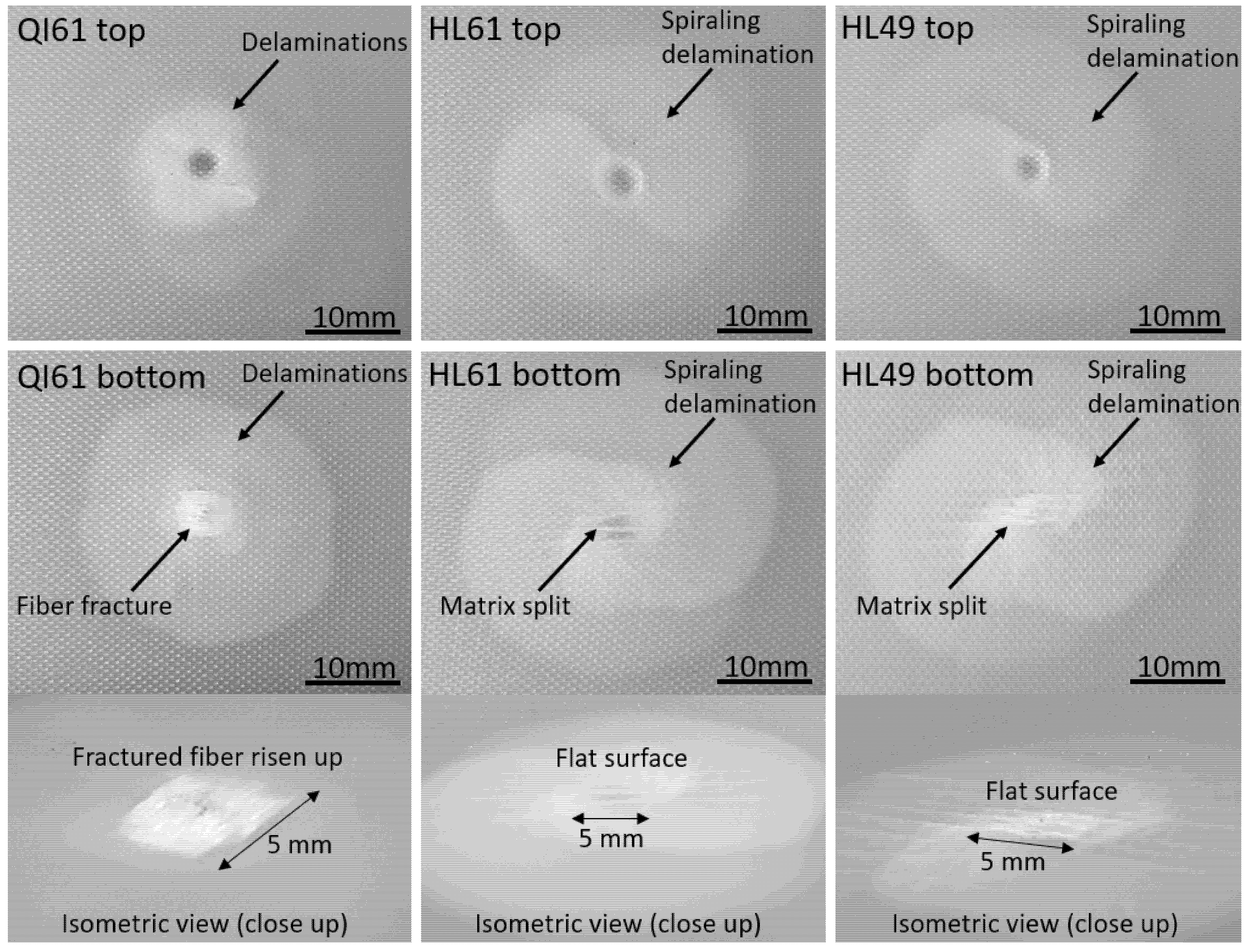 Polymers 14 00475 g006 550