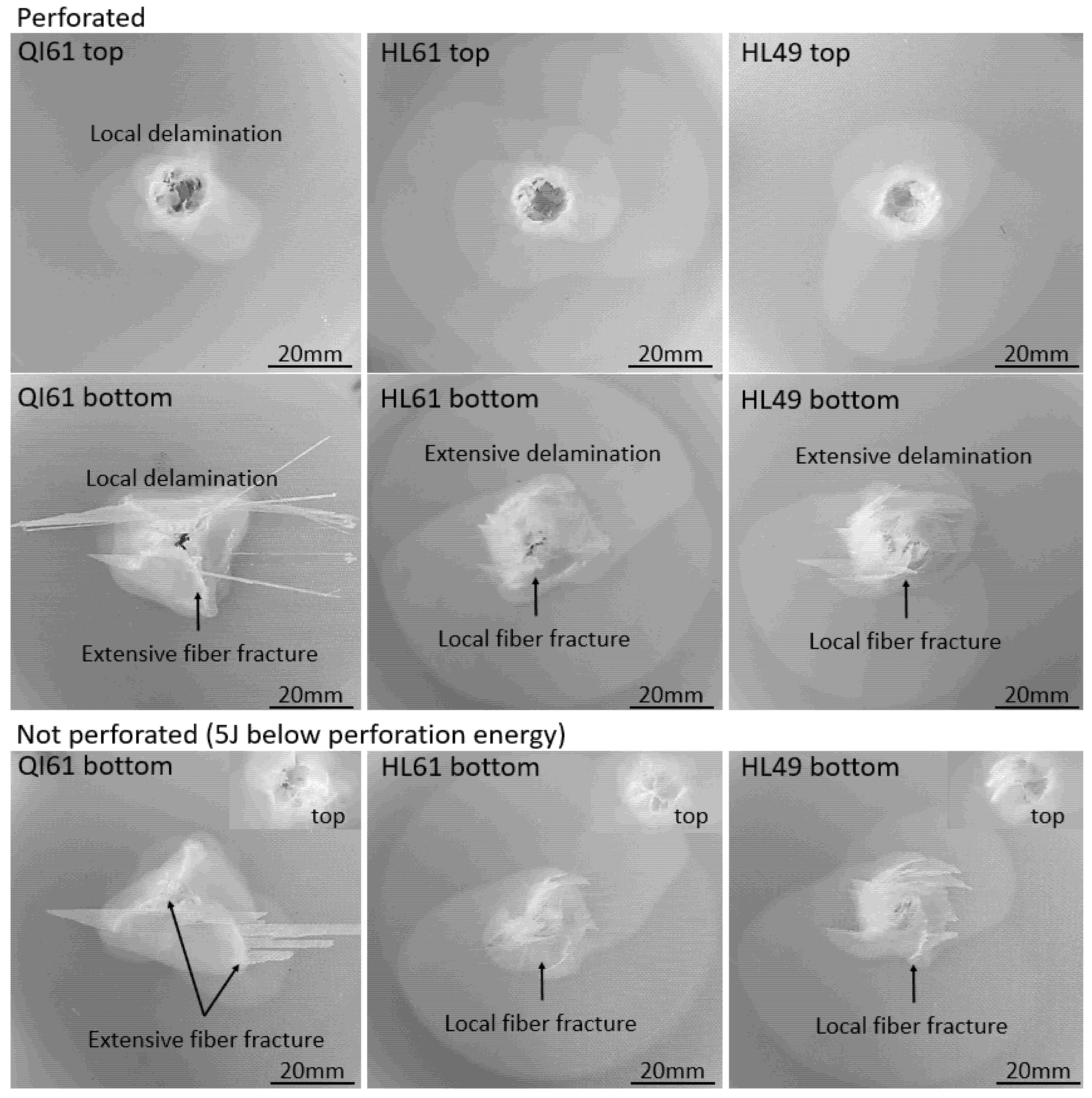 Polymers 14 00475 g007 550