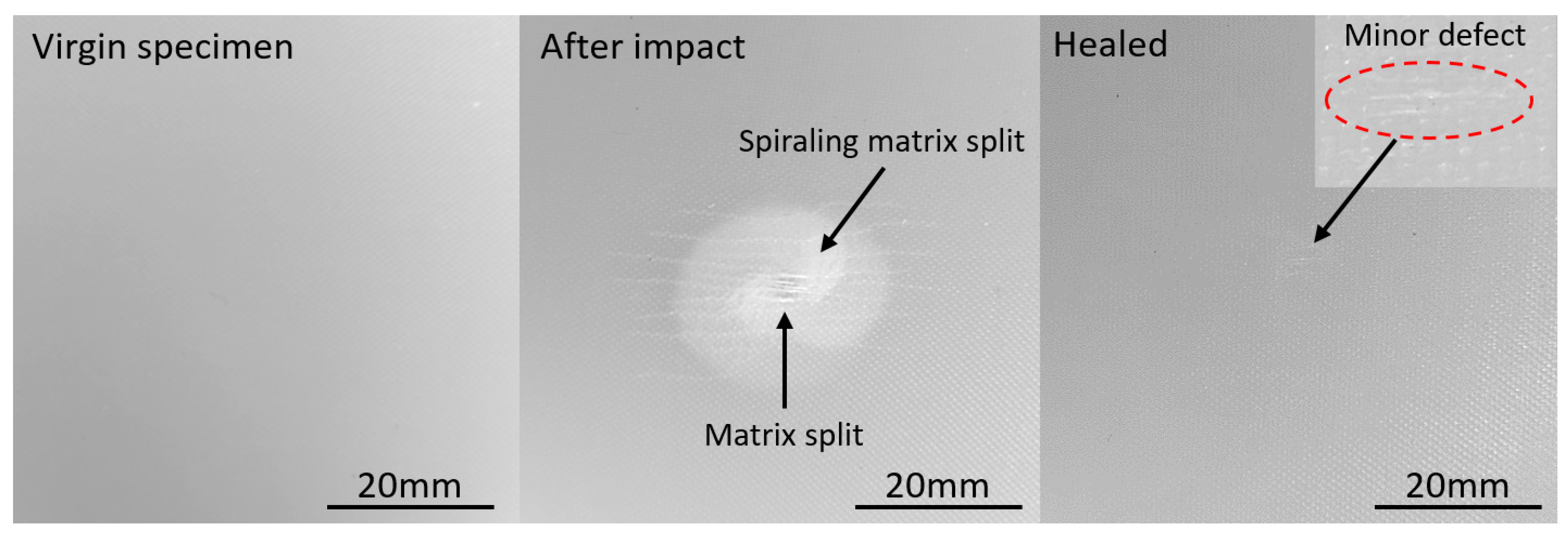 Polymers 14 00475 g008 550