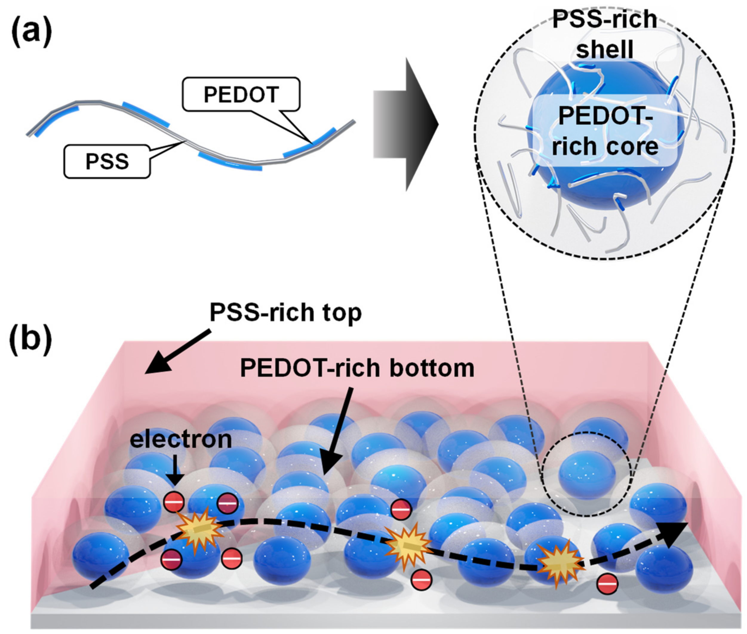 Polymers 14 00478 g001